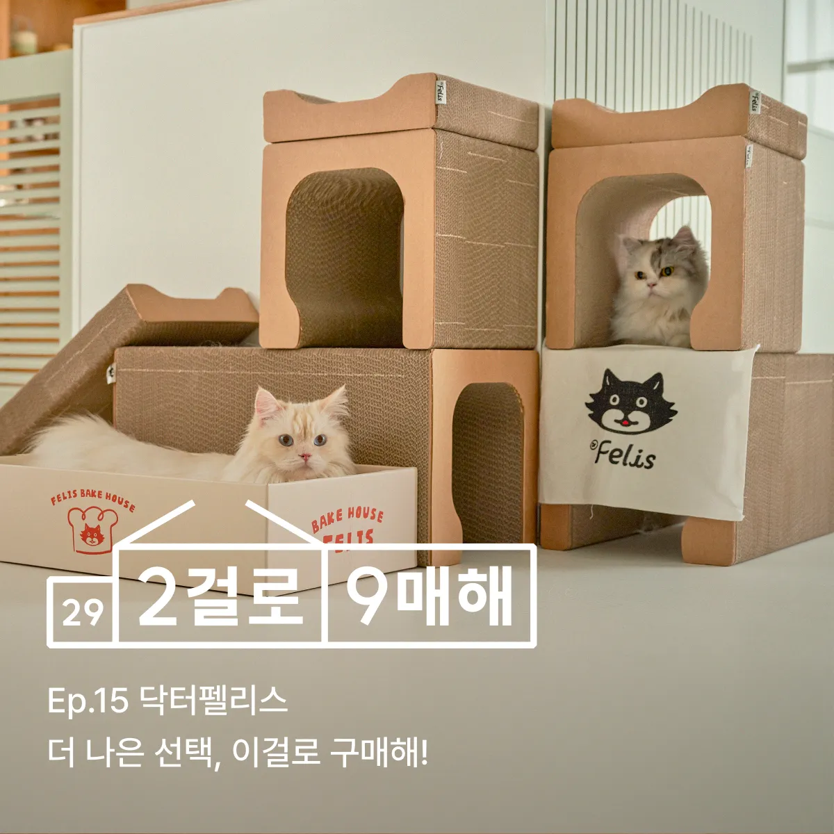 2걸로 9매해