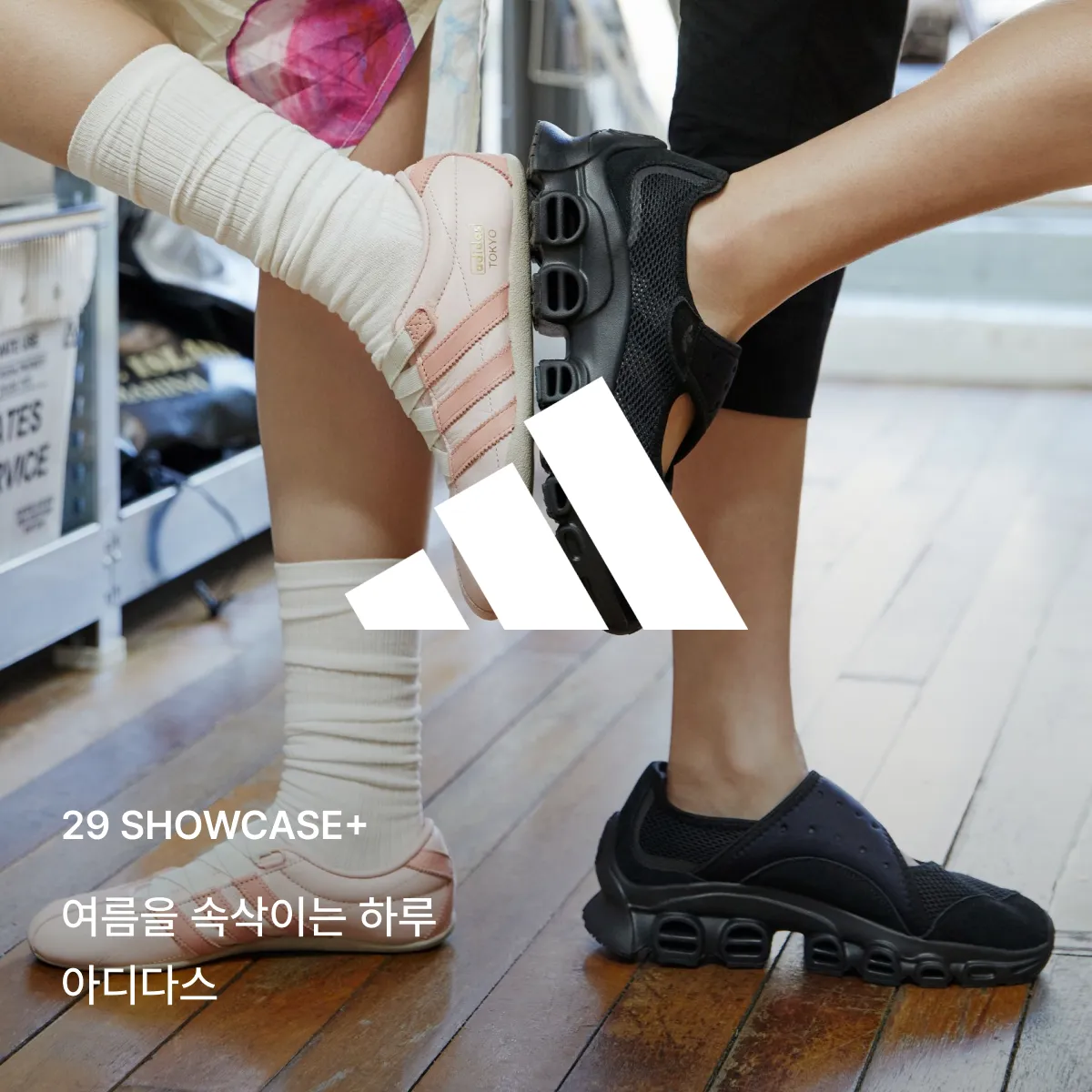 29 쇼케이스+