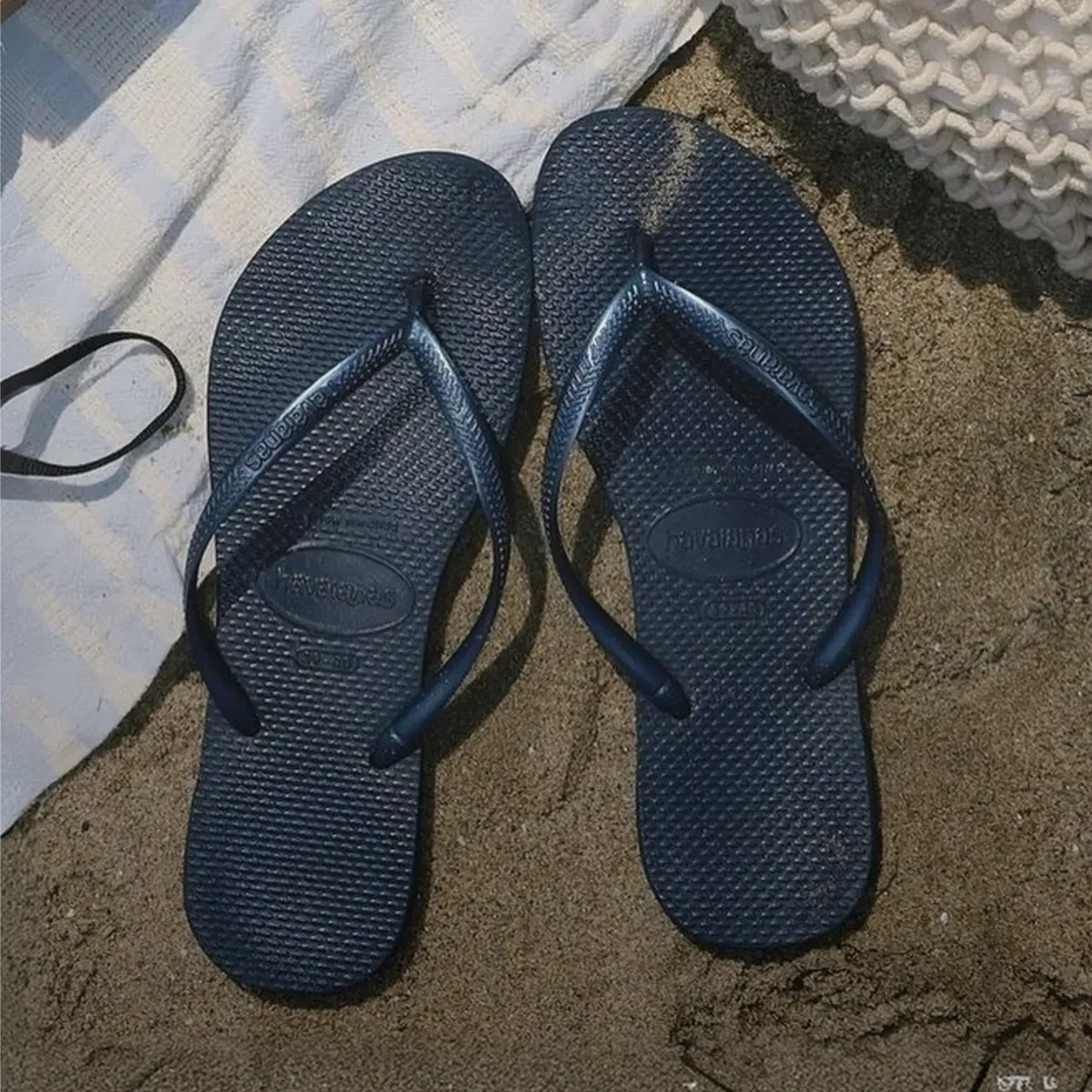 가벼운 여름의 시작