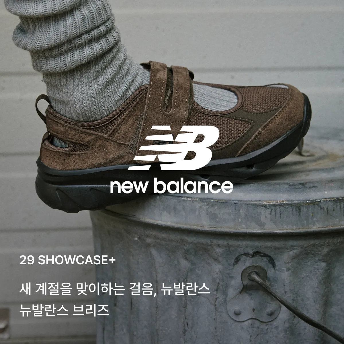 29 쇼케이스+