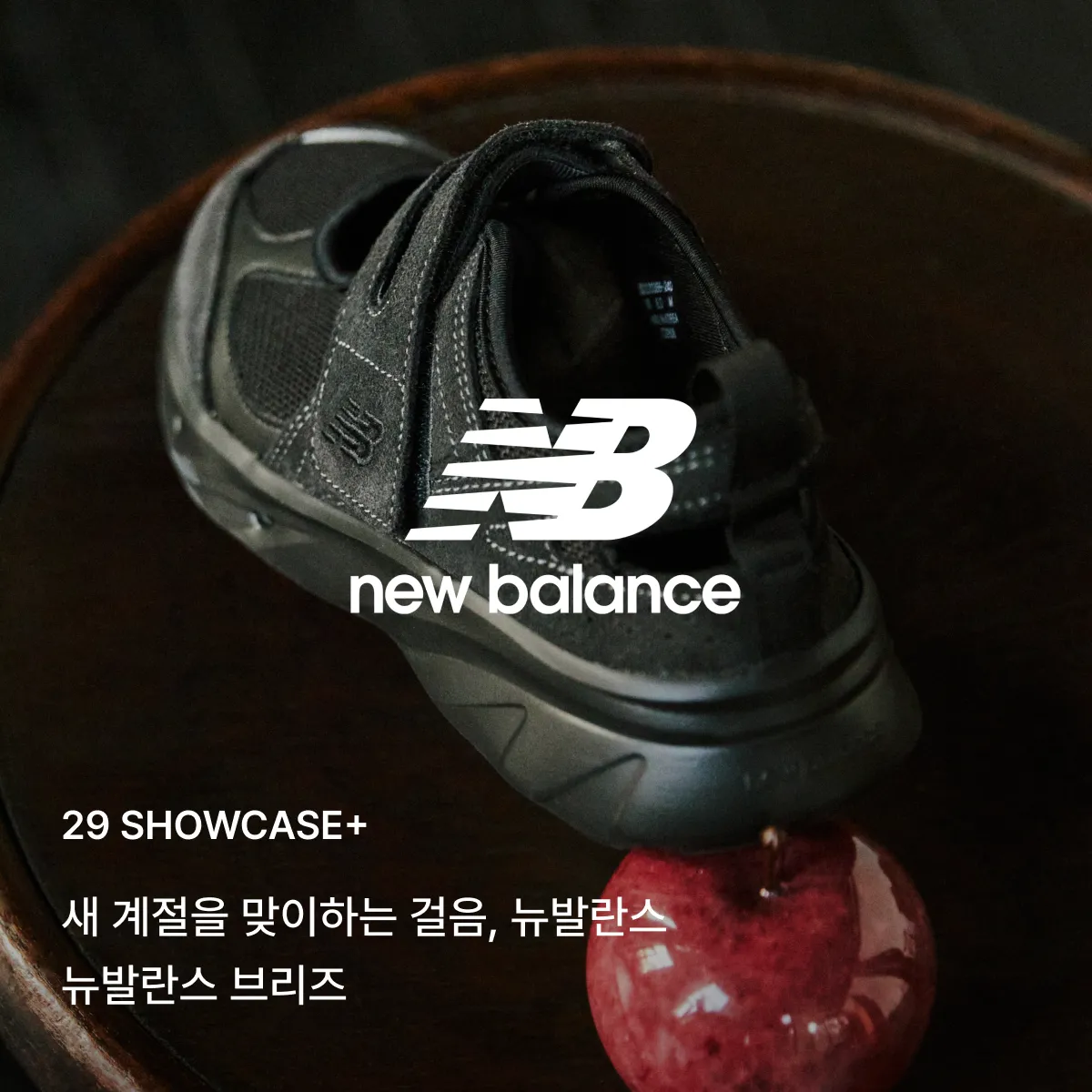 29 쇼케이스+