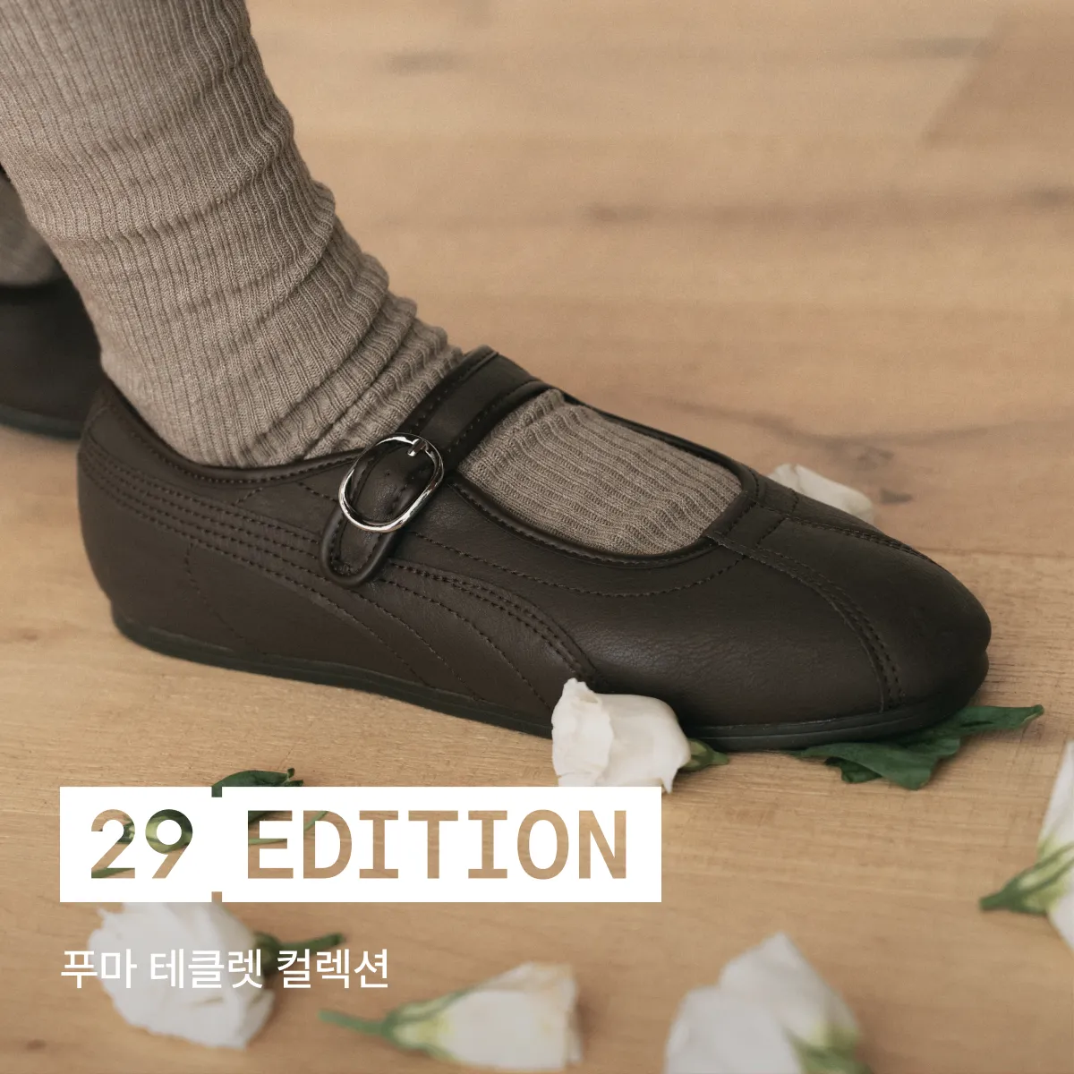 29 에디션