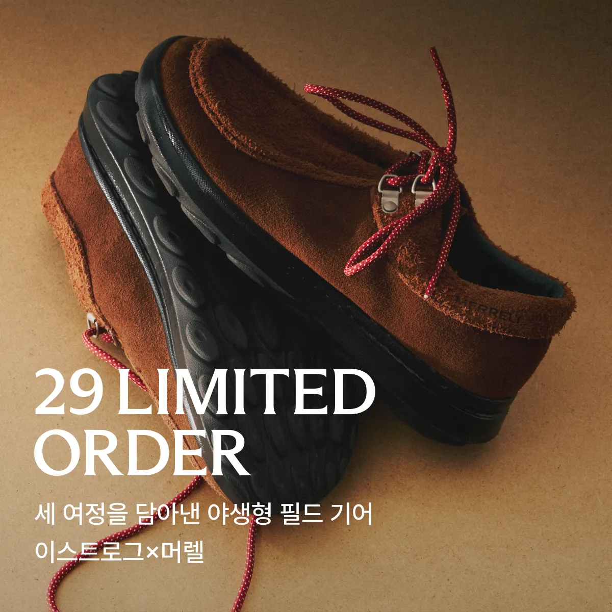 29 리미티드 오더