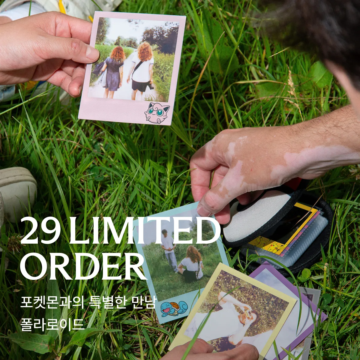 29 리미티드 오더