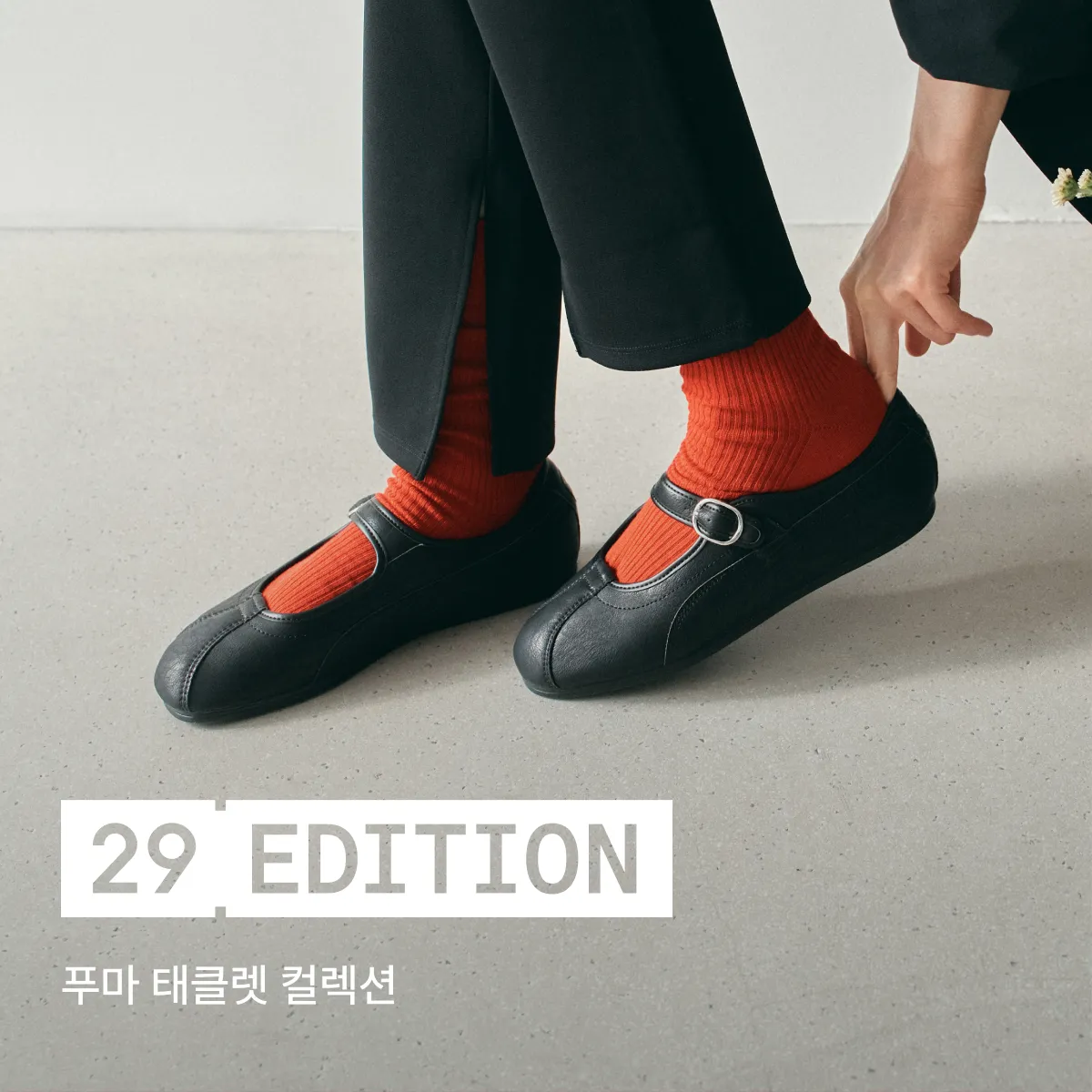 29 에디션