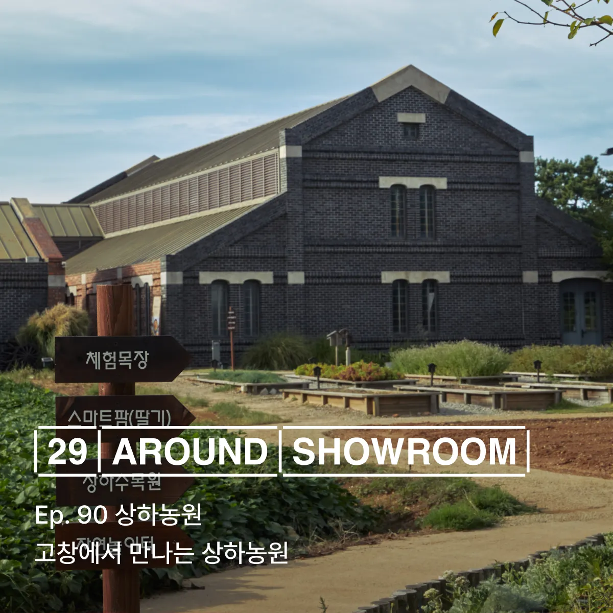 29 어라운드 쇼룸