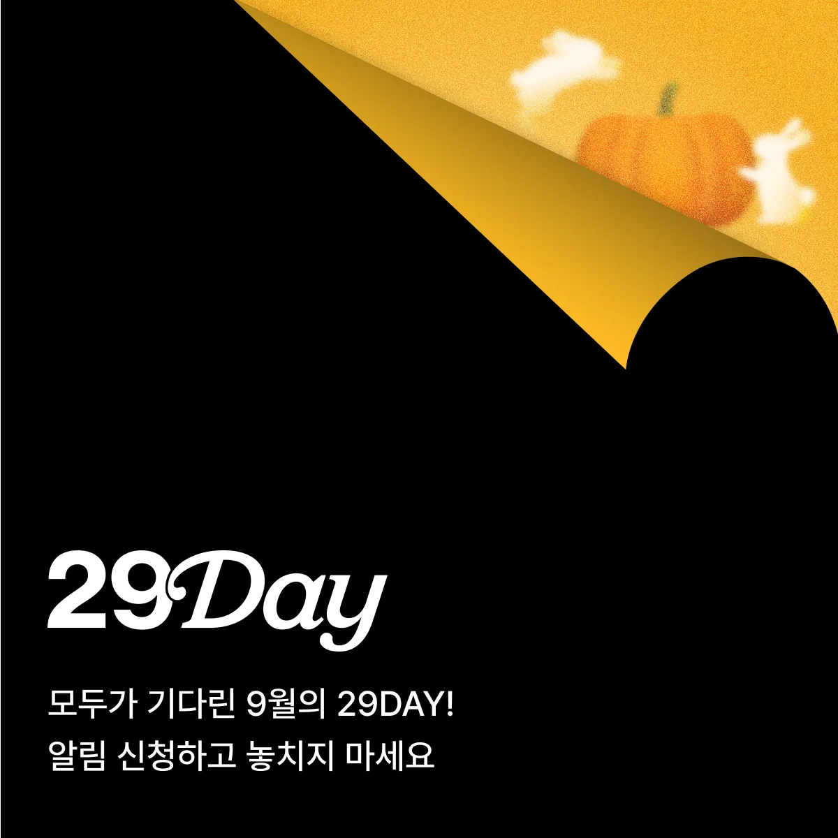 이구데이 티징