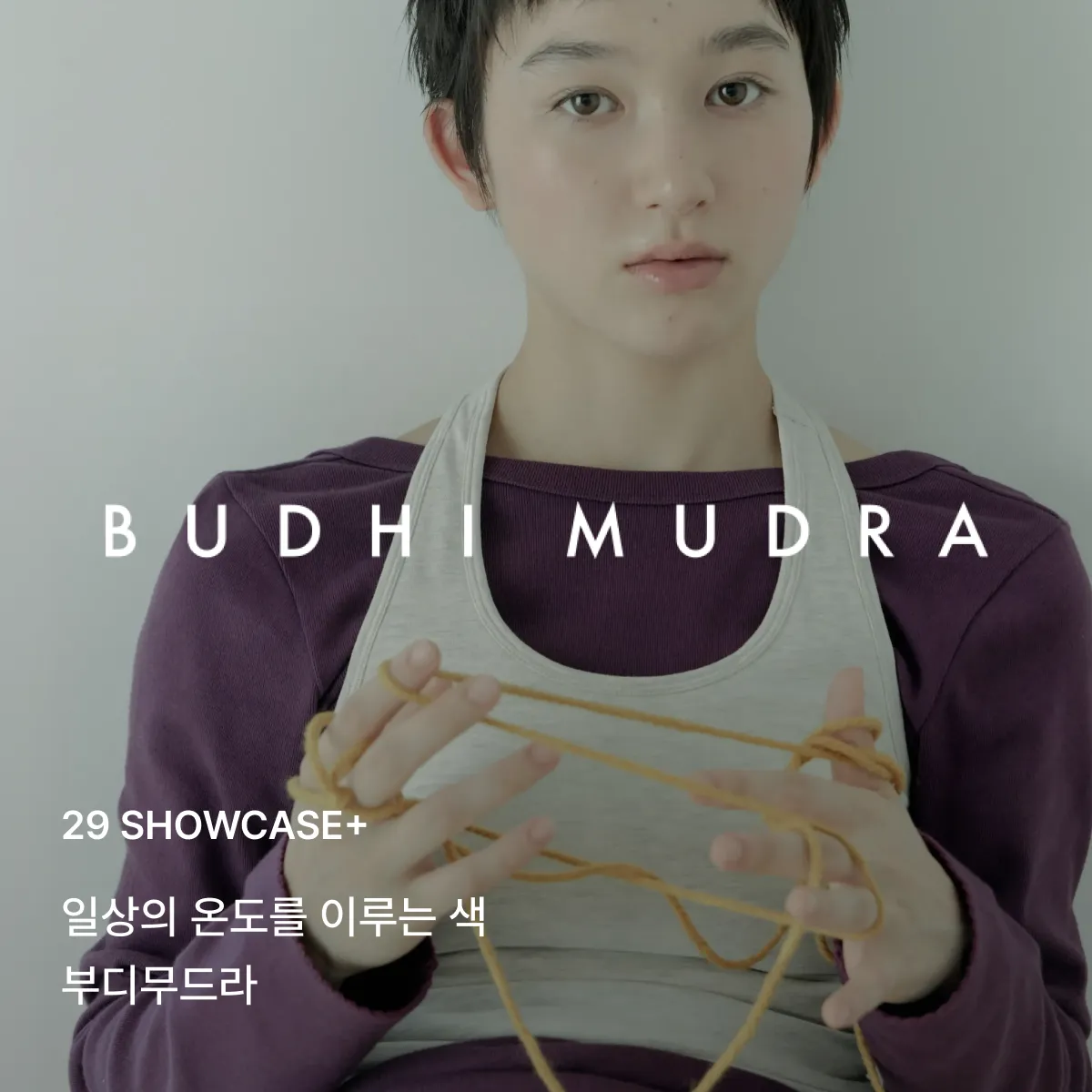 29 쇼케이스+
