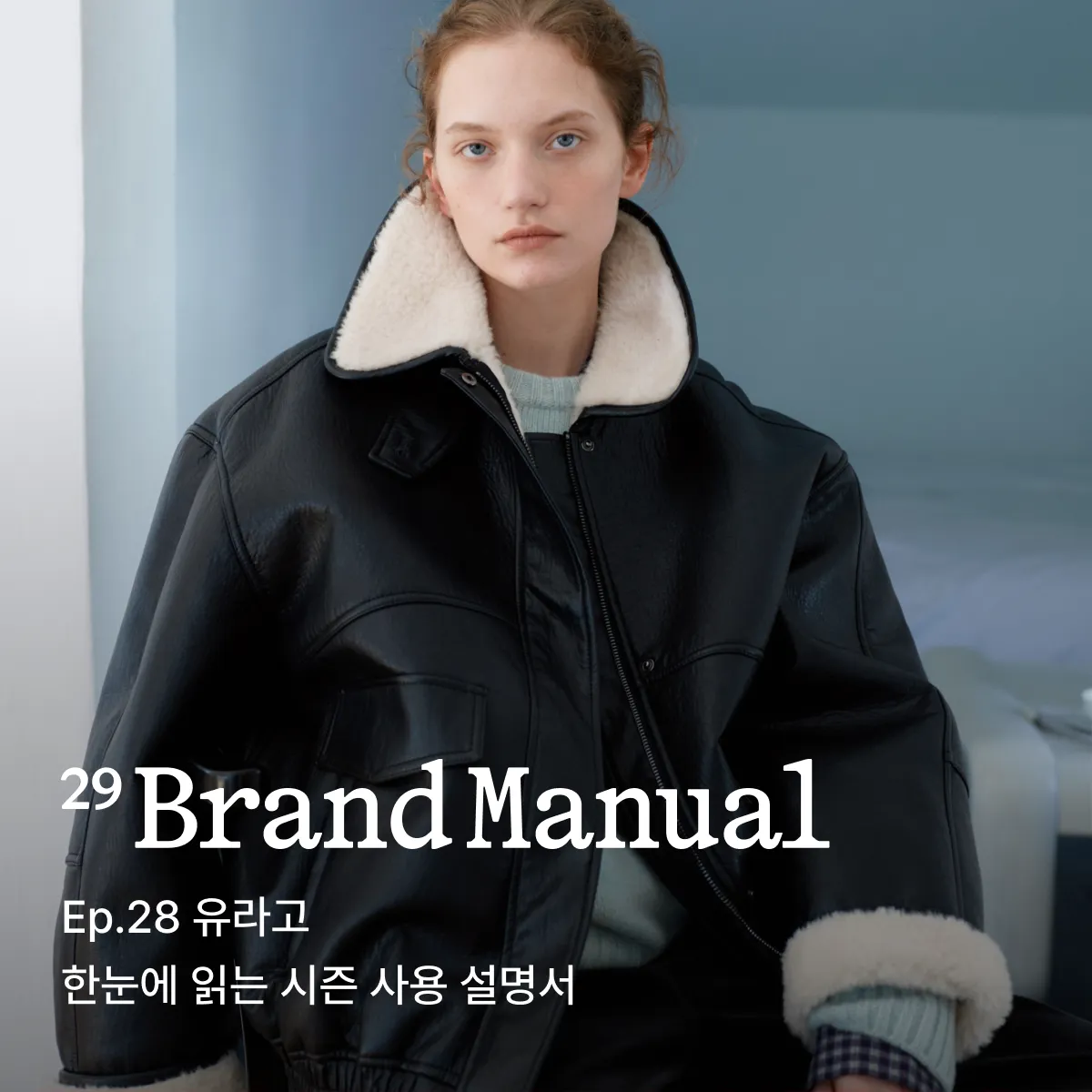 29 브랜드 매뉴얼