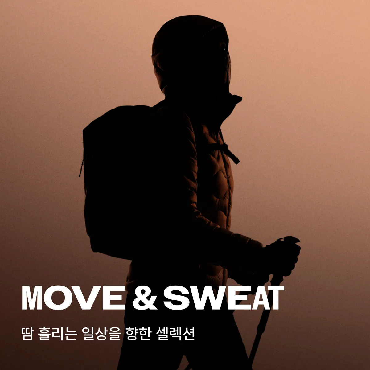 무브앤스웻