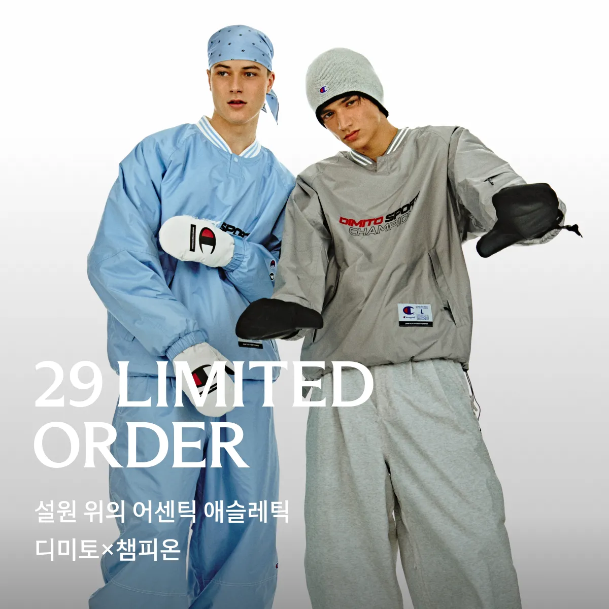 29 리미티드 오더
