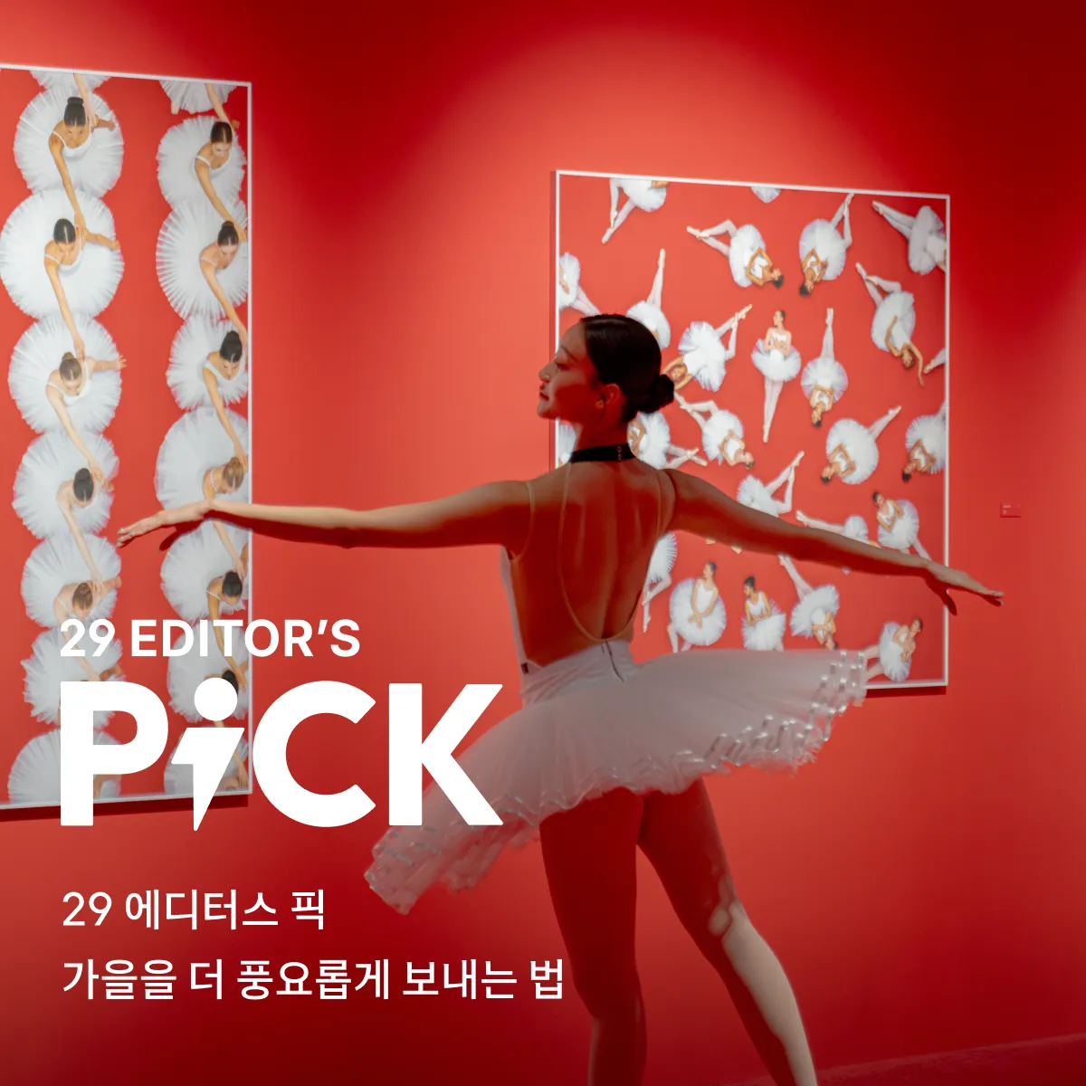 이구에디터스픽