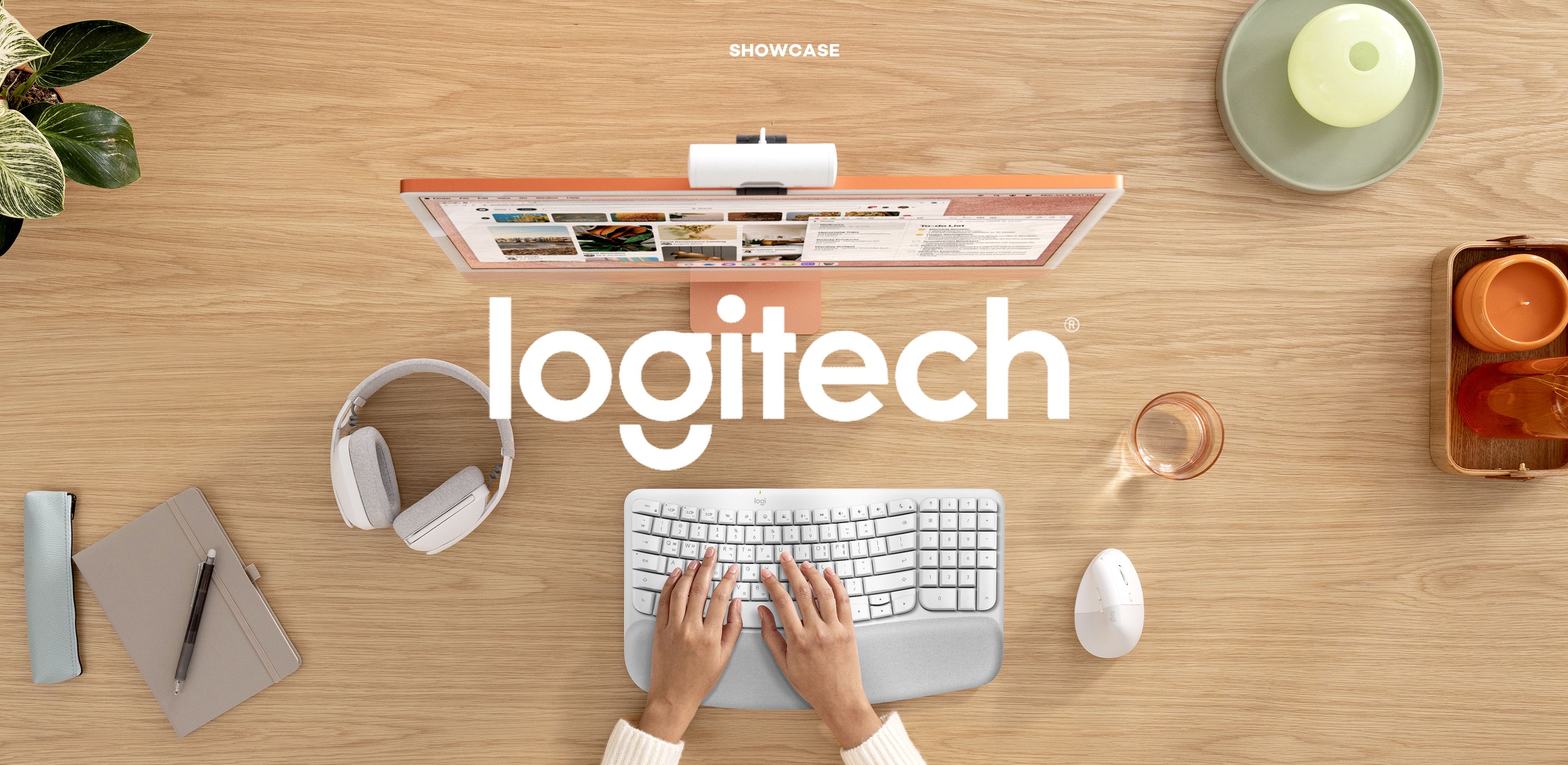 나에게 딱 맞는 
로지텍