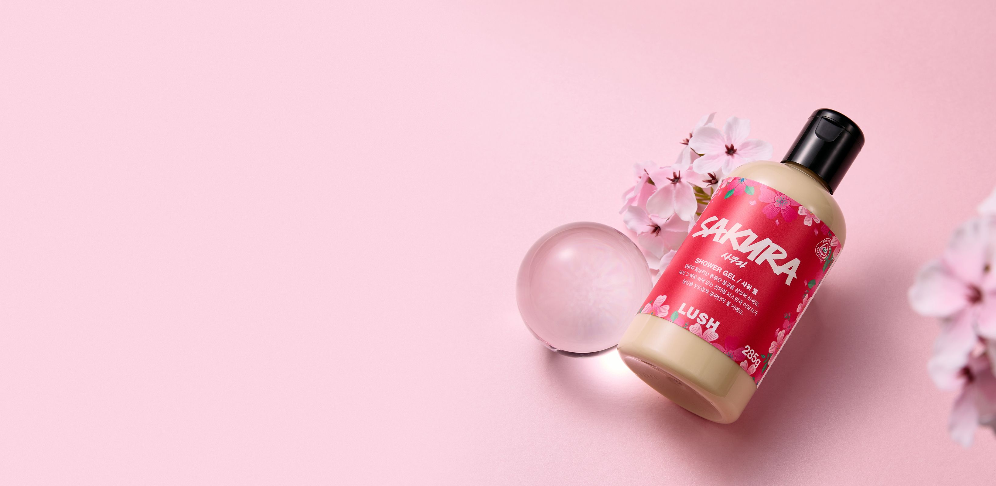 만개하는 봄
러쉬