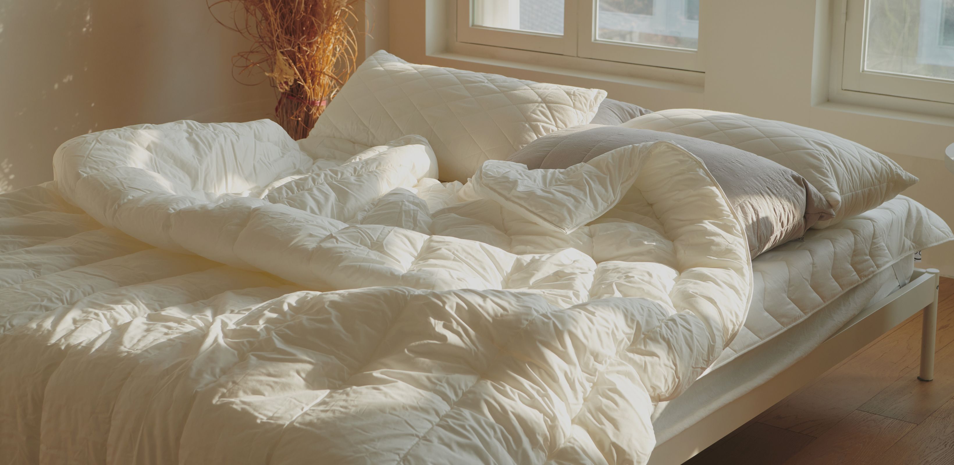 활기찬 아침의 약속 
센타스타