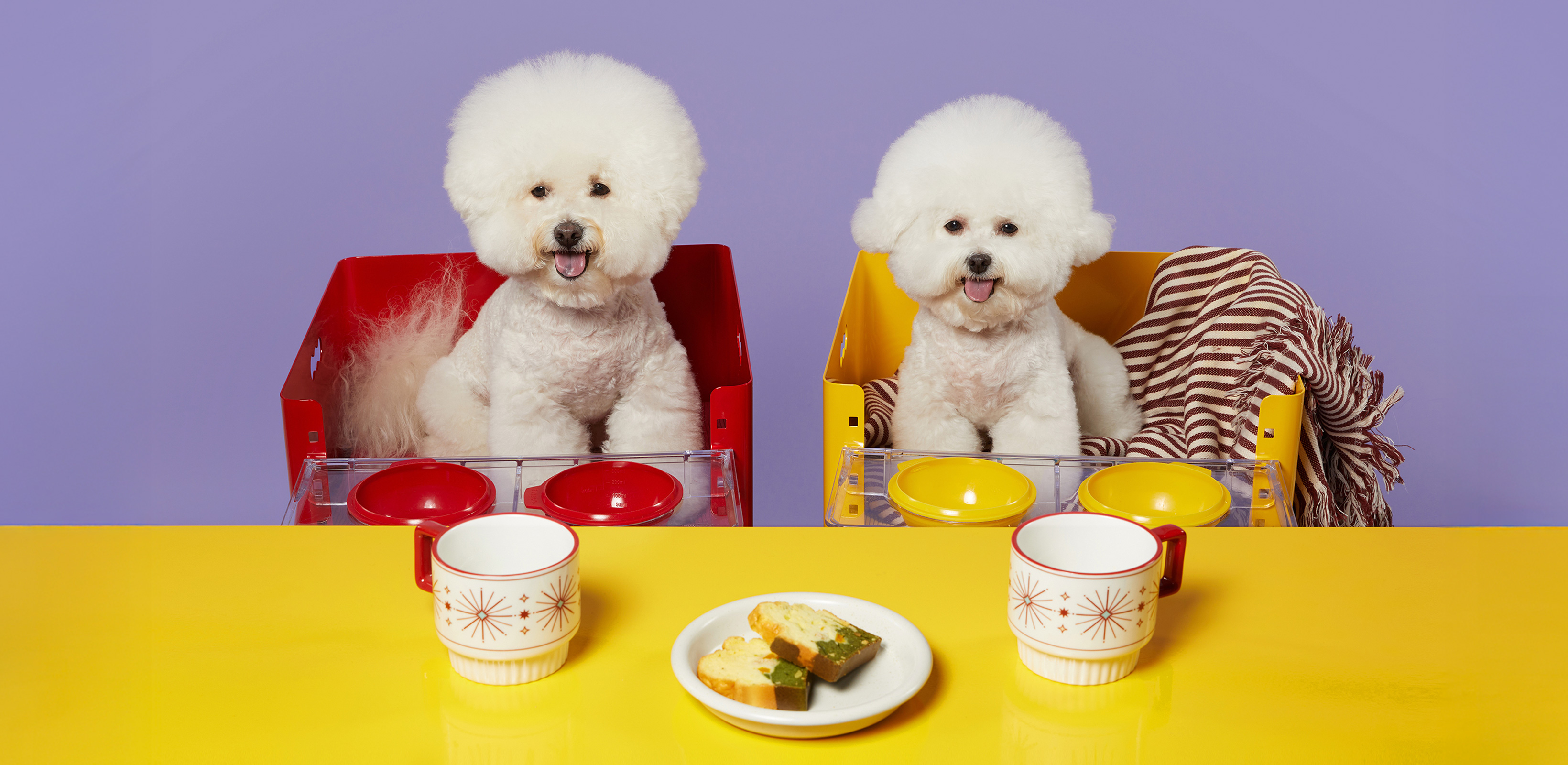 내 공간을 위한 오브제
까비네