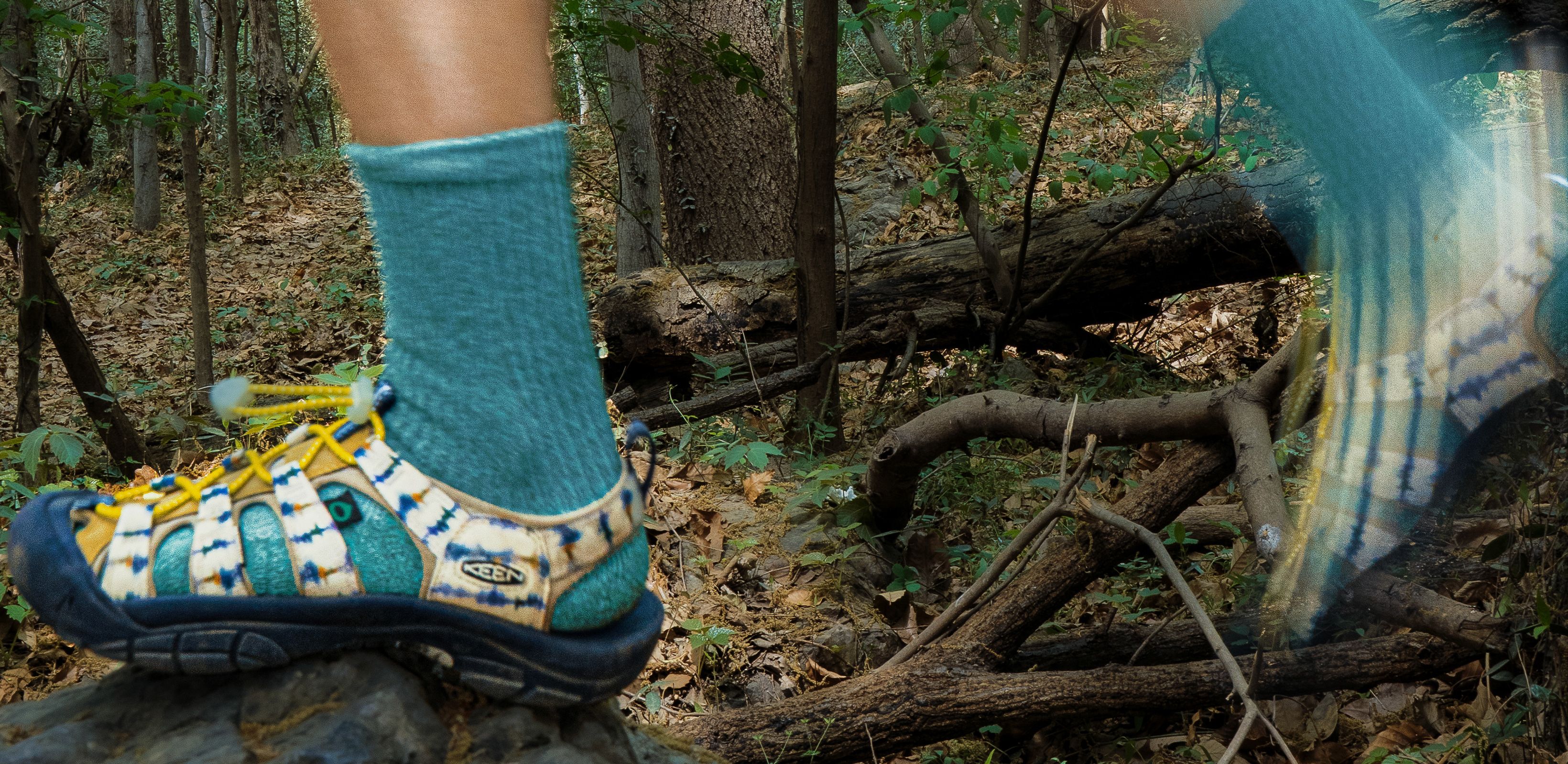 자연의 순간을 담은
킨