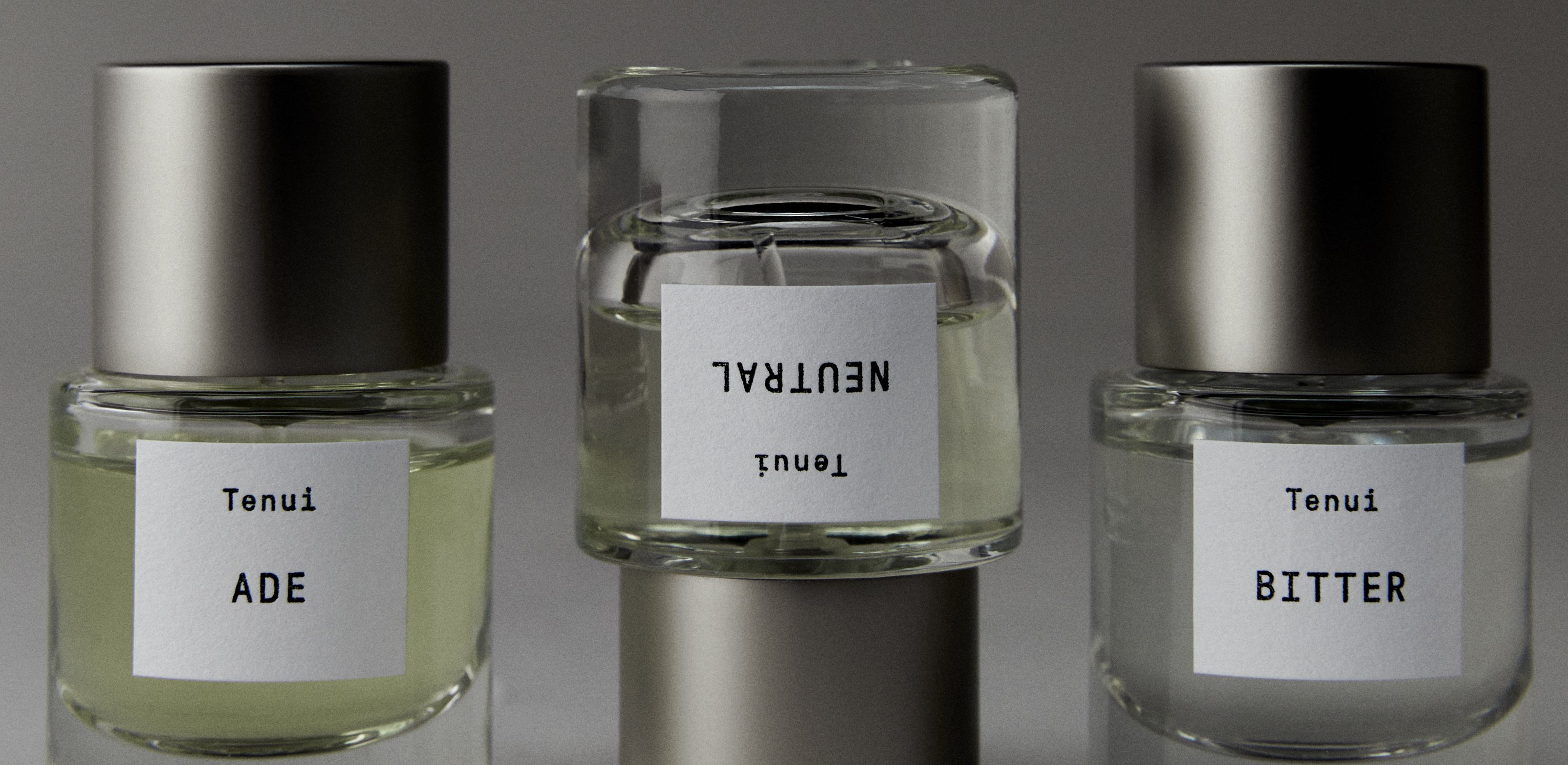 새로운 오늘을 선사하는
테누이