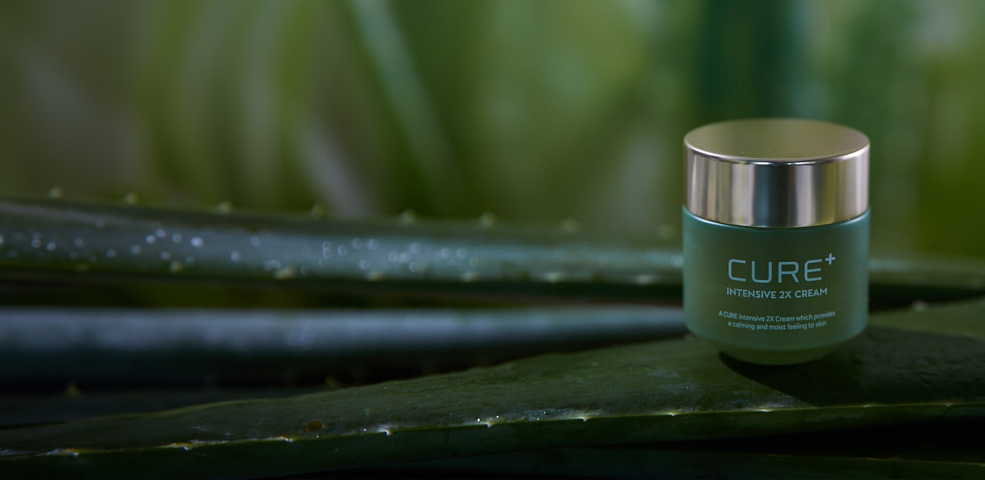 건강한 스킨 케어의 시작
김정문알로에