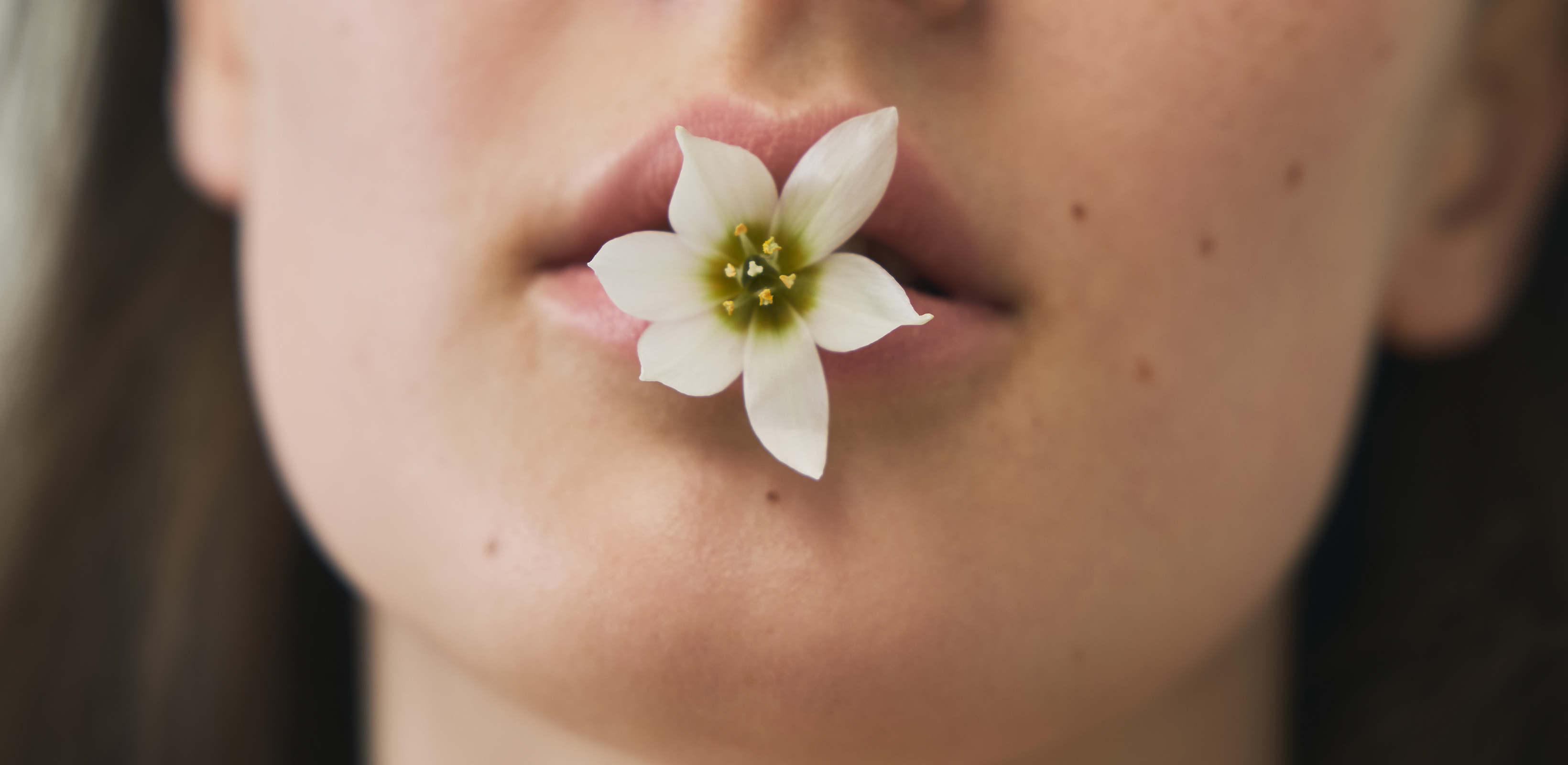 삶의 틈 속 마주한 꽃
모이아