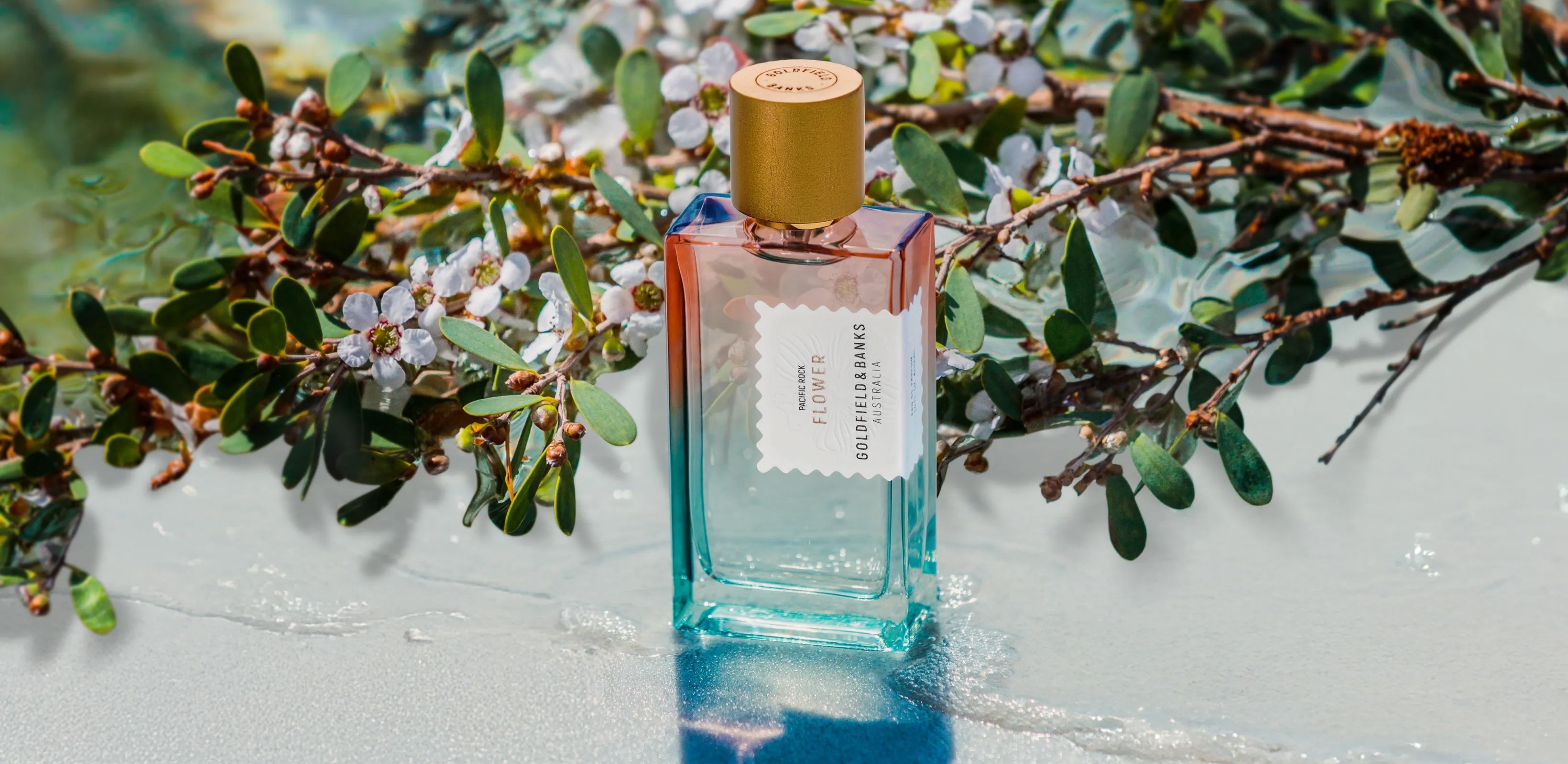 해안의 아름다운 향
골드필드앤뱅크스