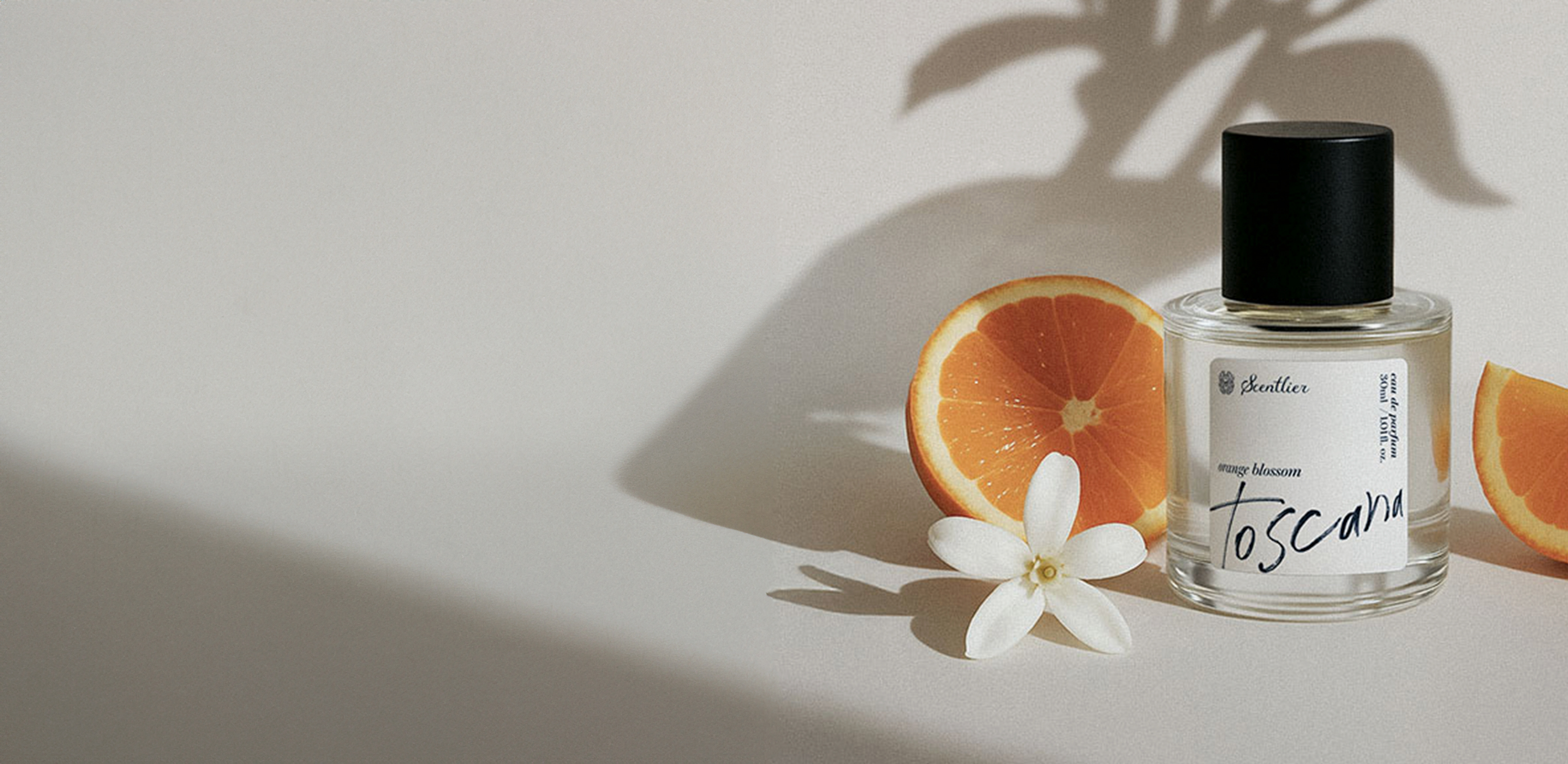 새로운 시작을 위한 향
센틀리에