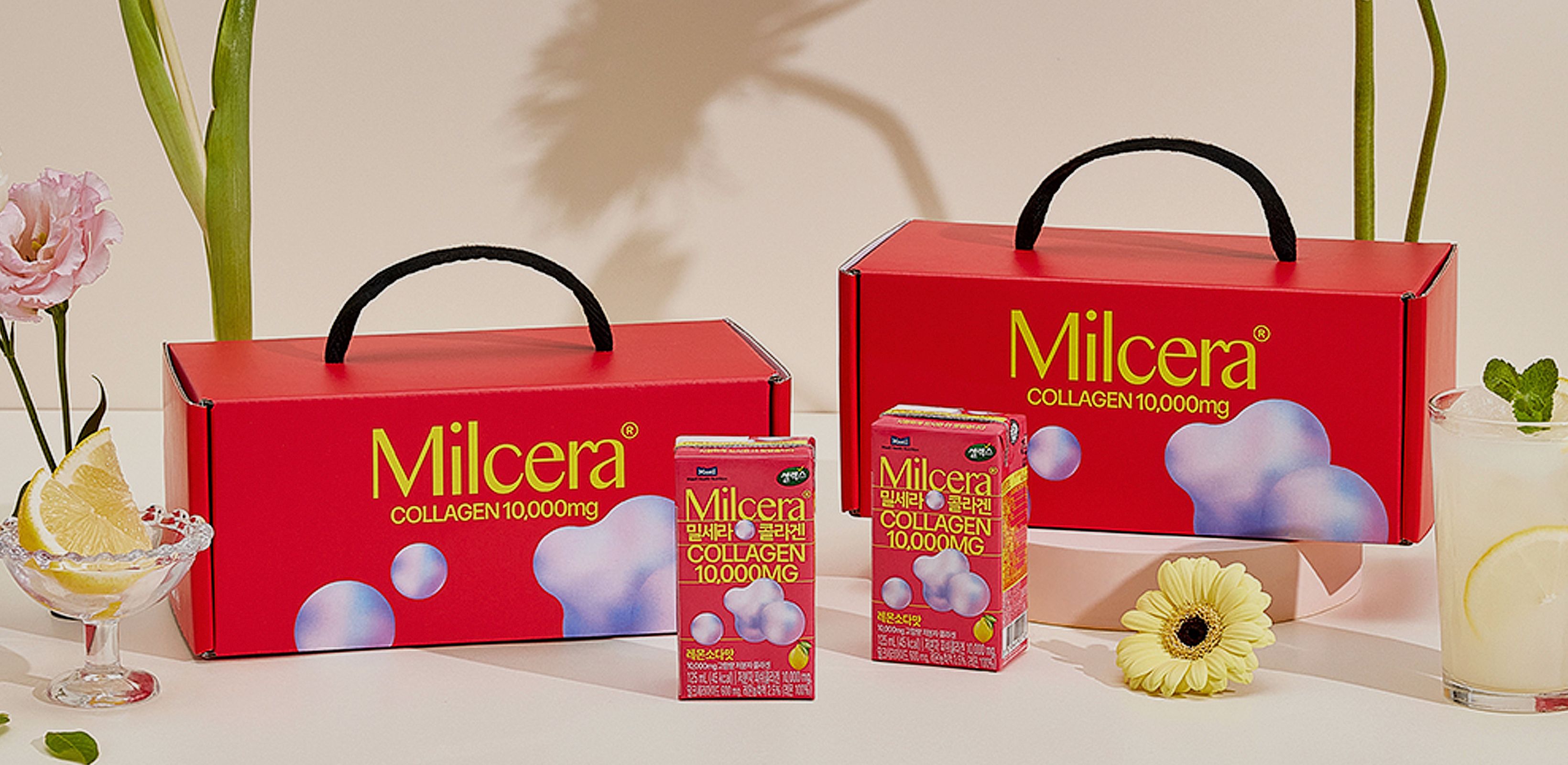 매일의 에스테틱
셀렉스