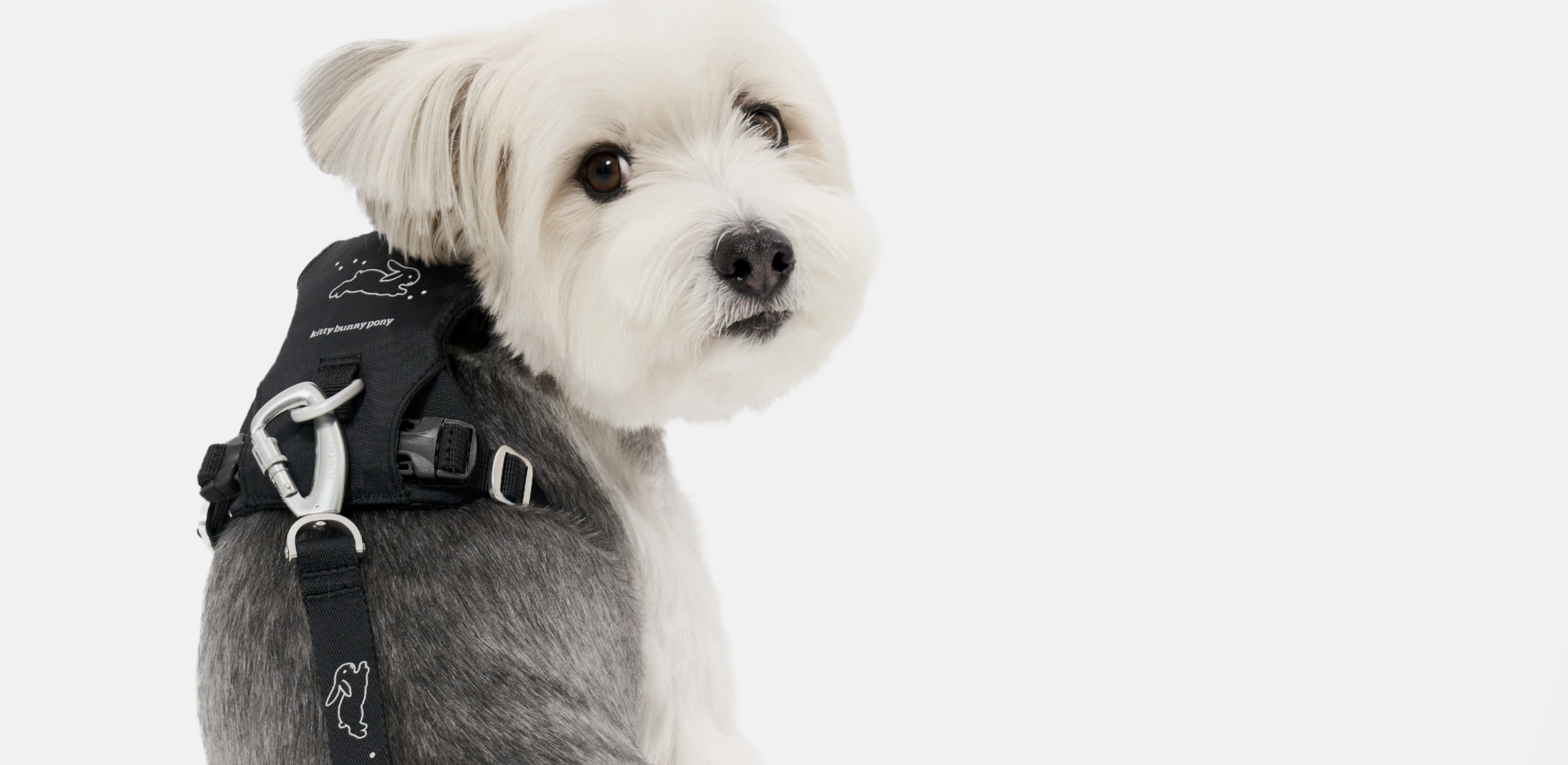 함께하는 움직임
키티버니포니