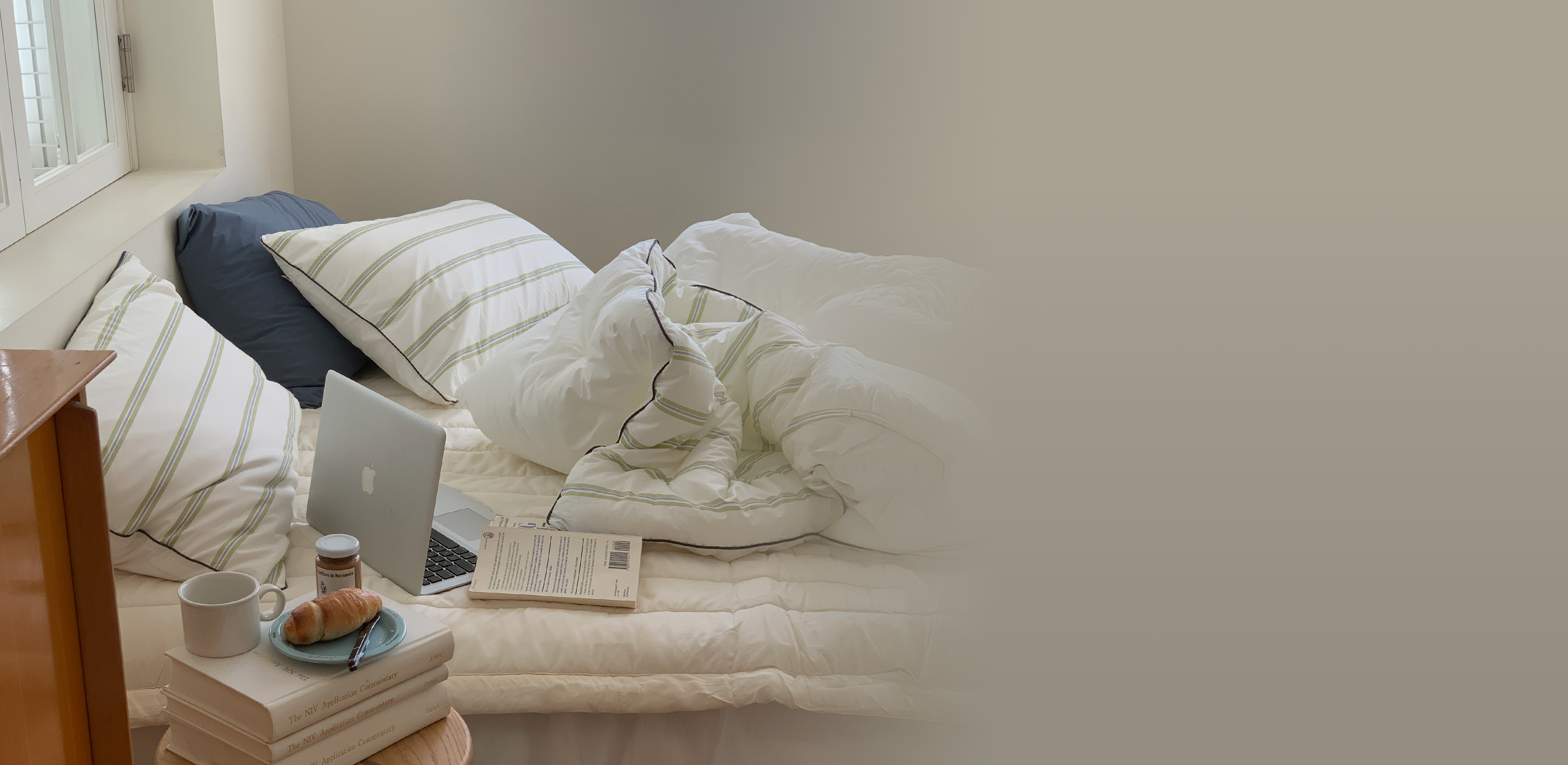 부드러움이 머무는 계절
라튤립