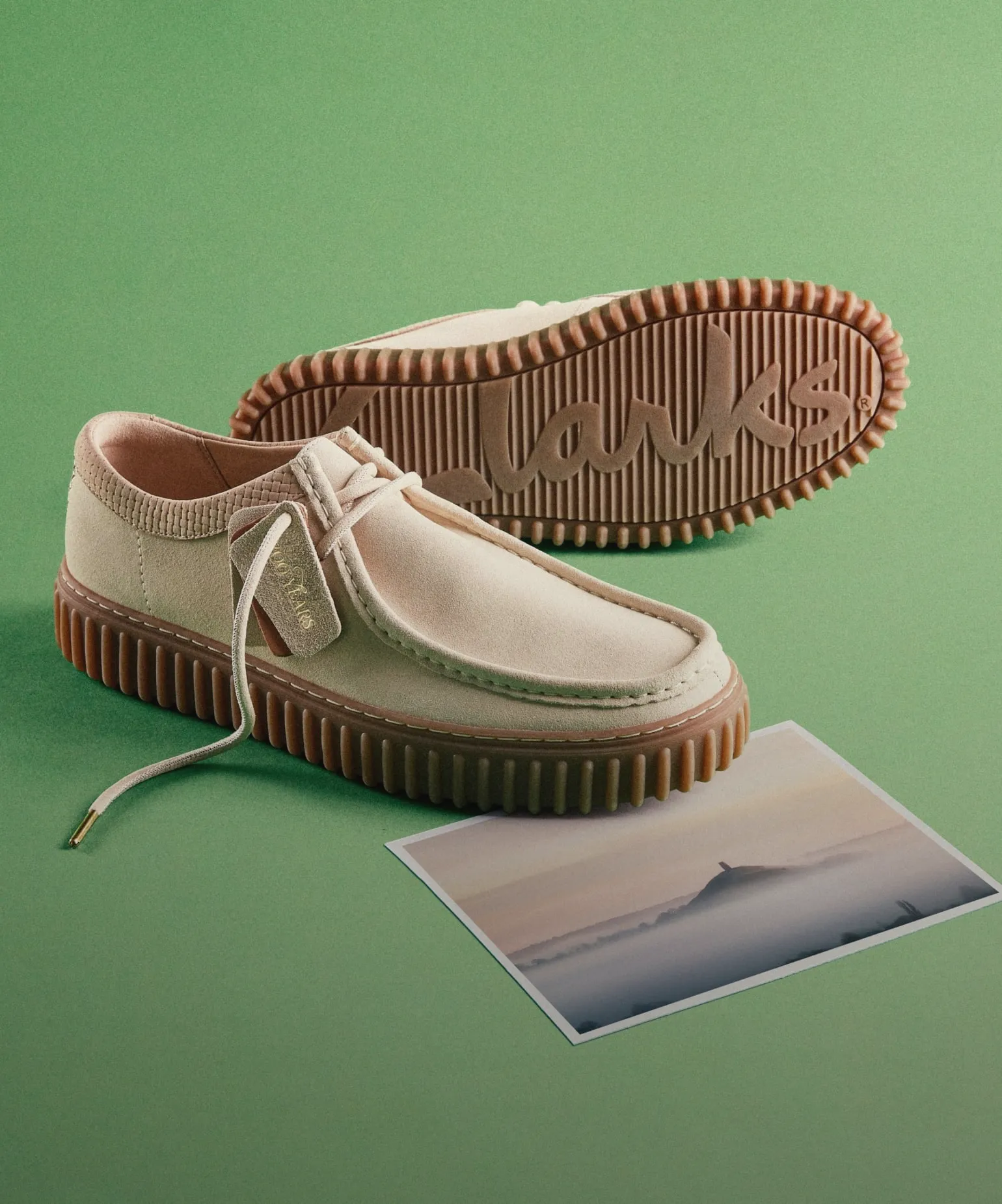 다시 돌아온
월라비의 계절