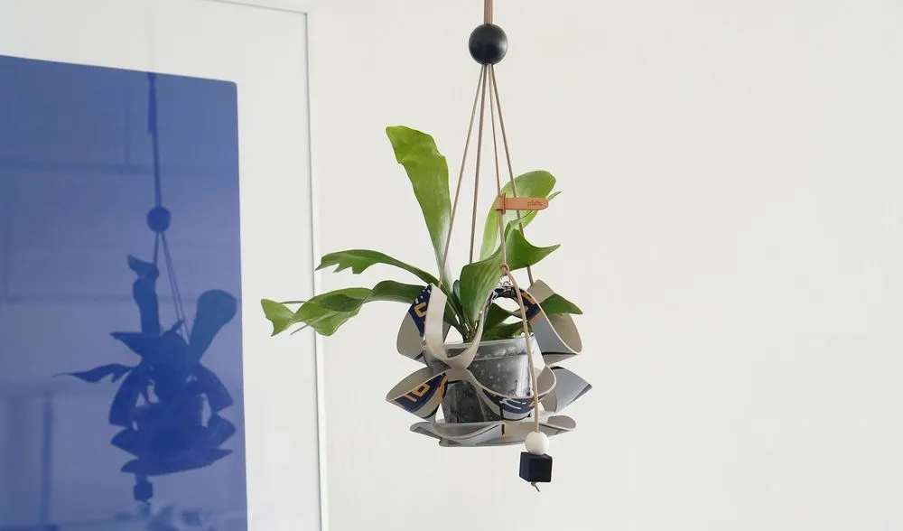 식물을 더 즐겁게