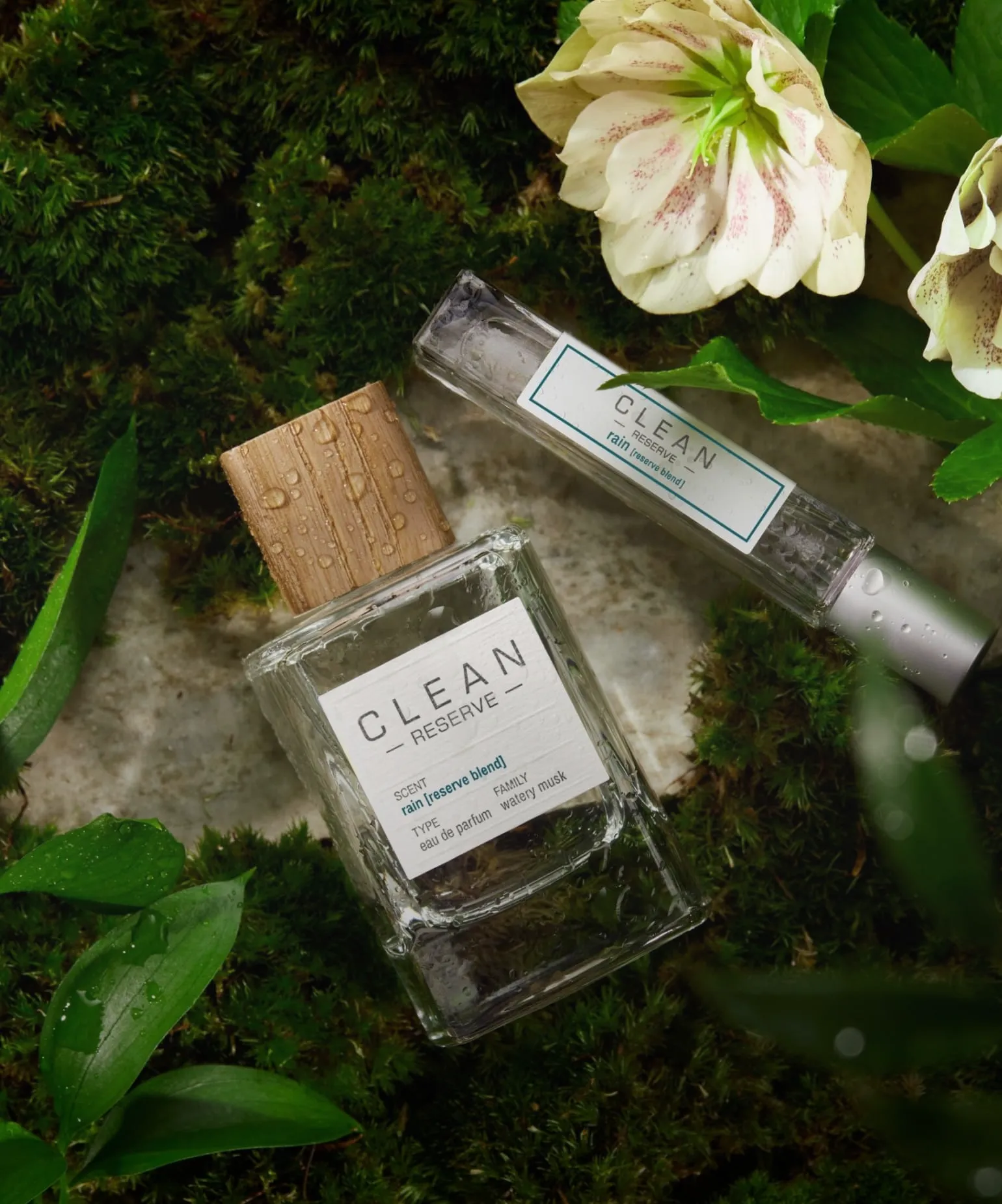 겨울의 향기 모아보기