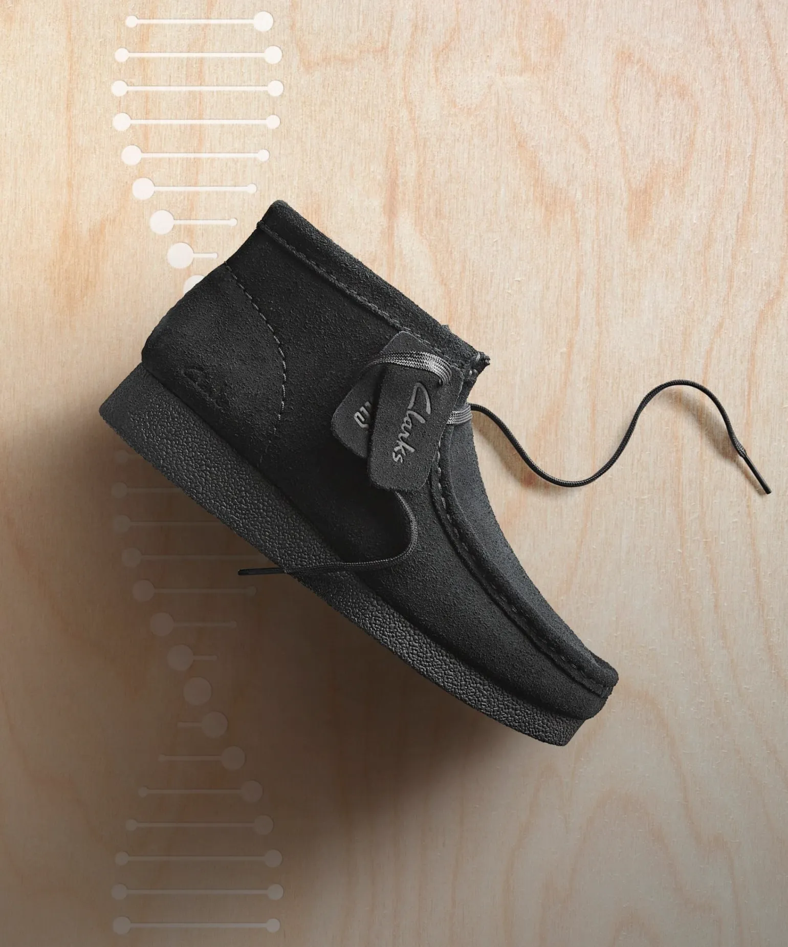 다시 돌아온
월라비의 계절