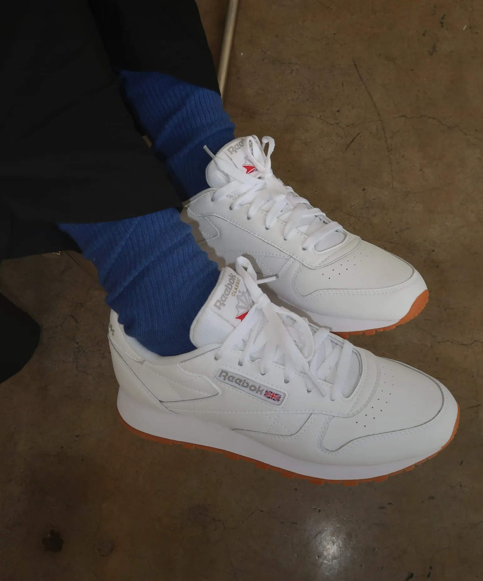 오리지널의 귀환