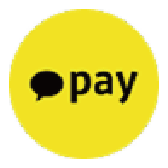 카카오페이머니