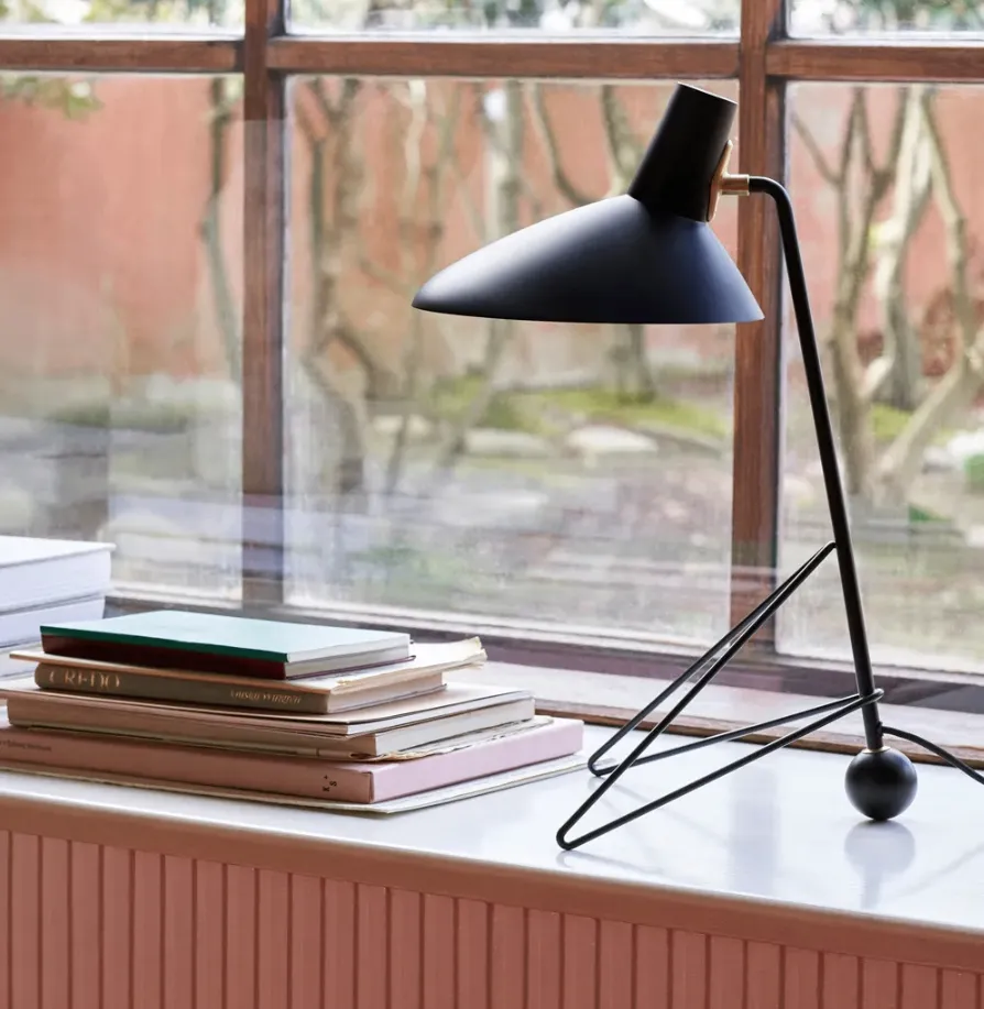 빛과 형태에 대한 대담한 실험