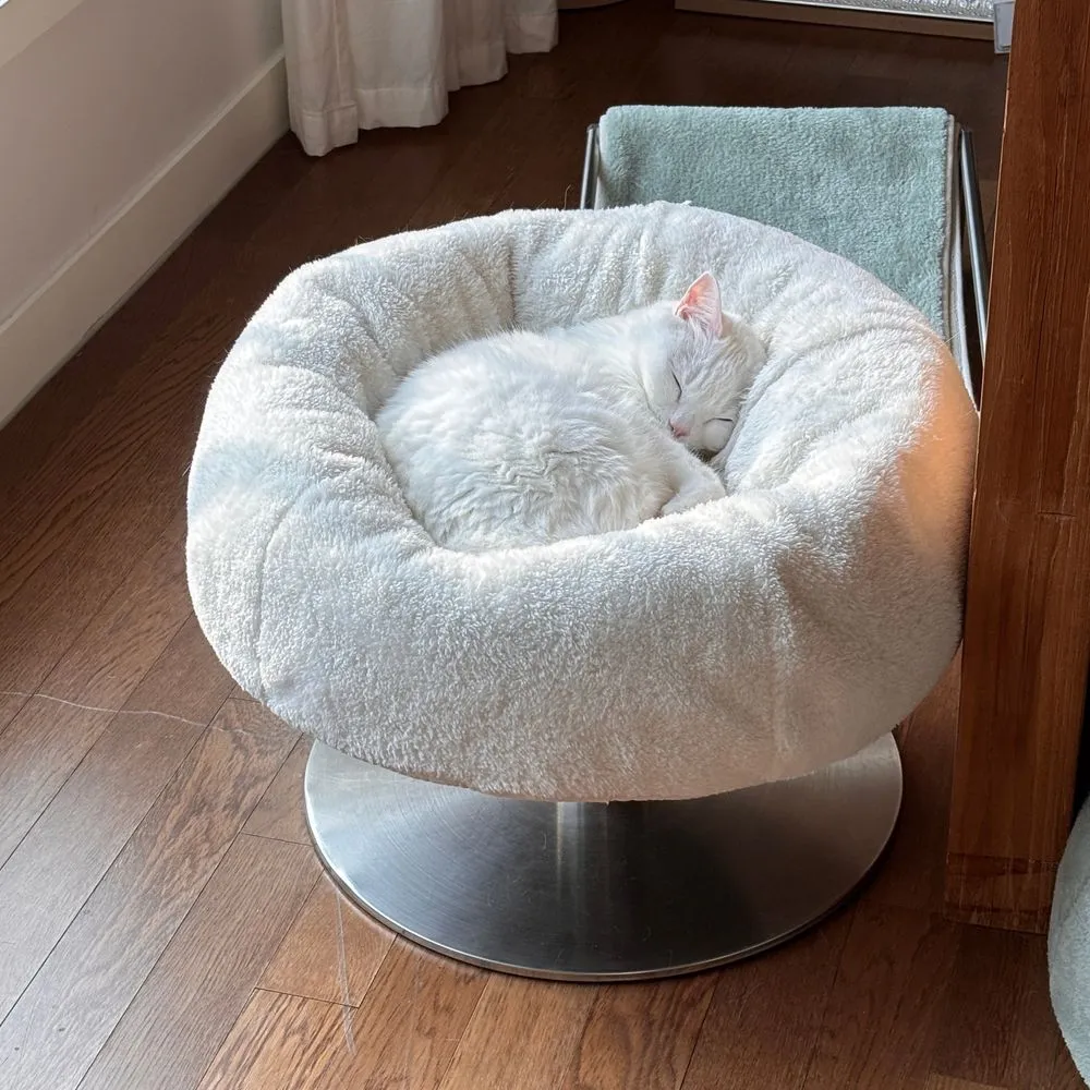 집에 가고 싶은 마음