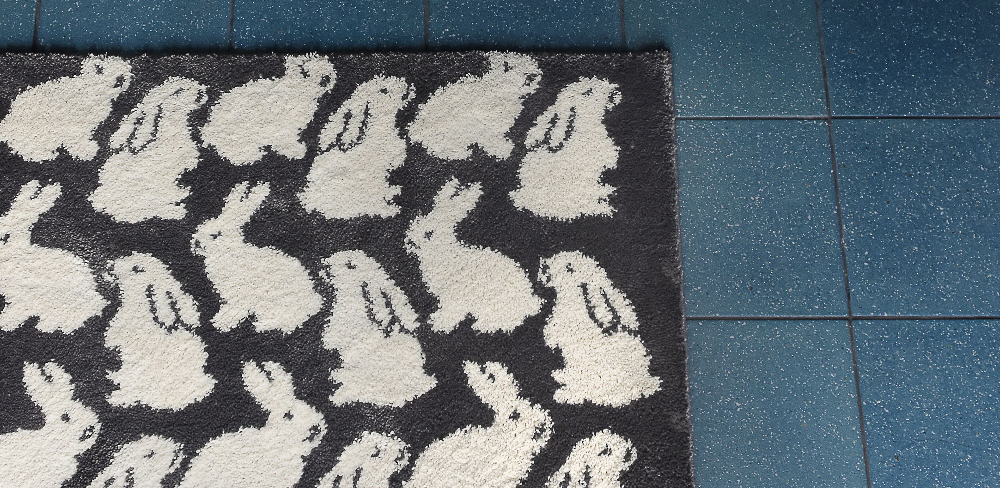 매일 밟는 곳의 특별함
키티버니포니