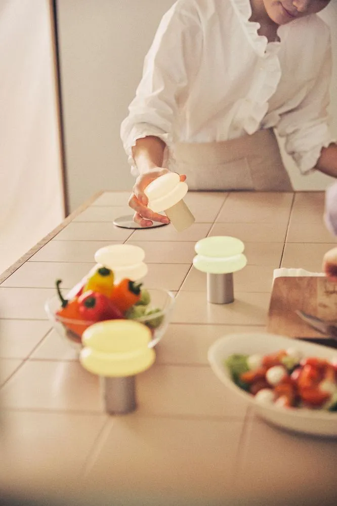 스노우맨8의 새로운 변신