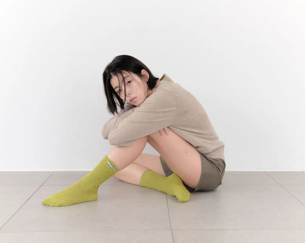 빛으로 피어난 계절의 색