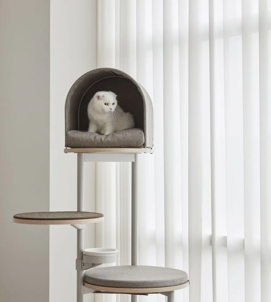 내가 더 다정해지는 순간