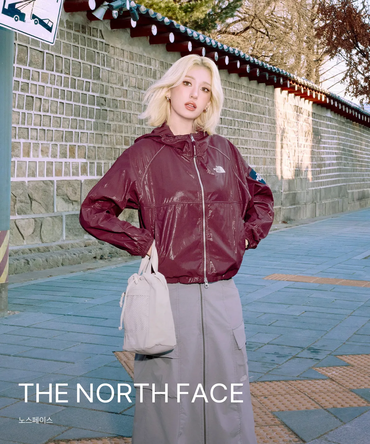 THE NORTH FACE