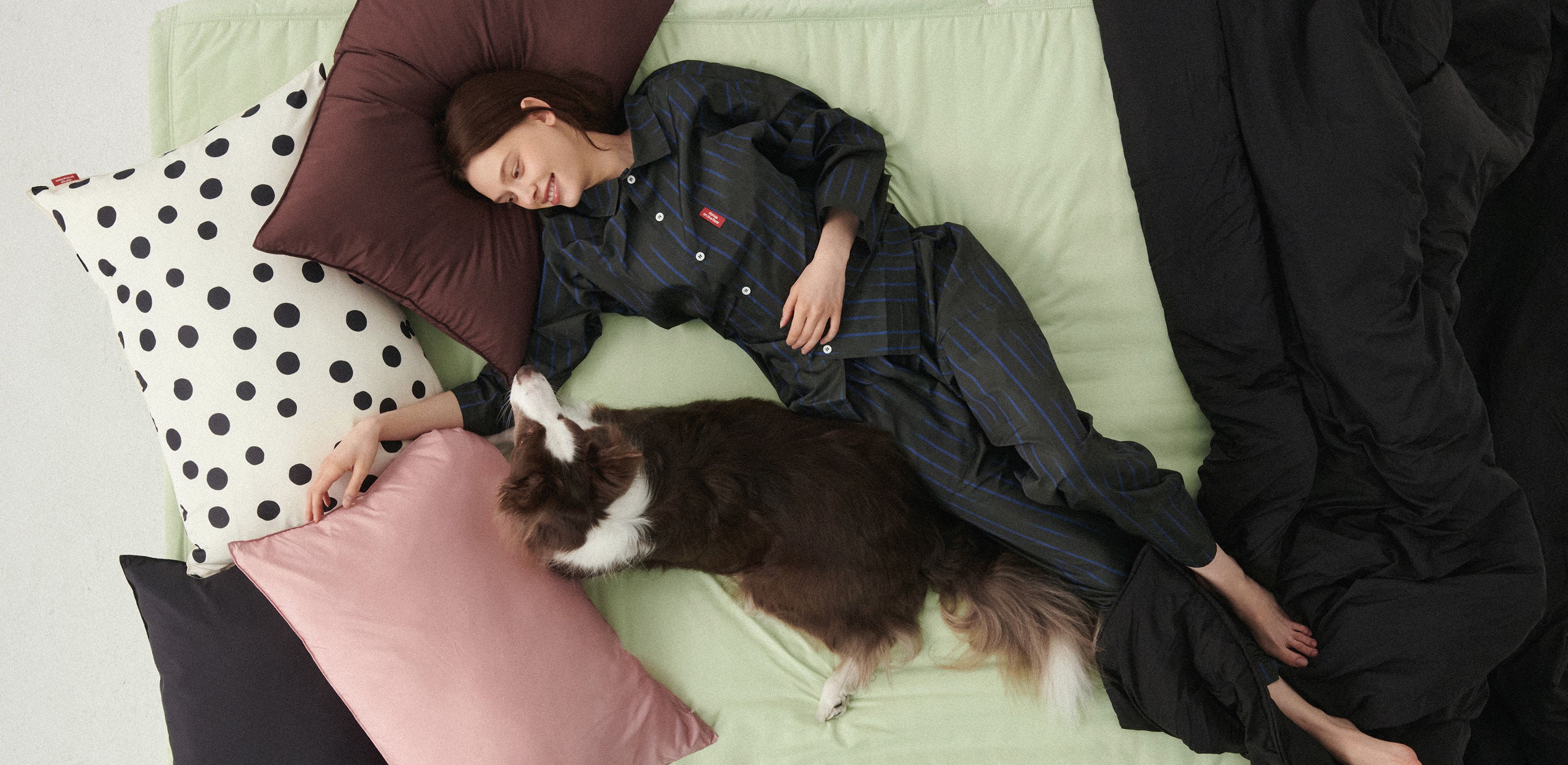 서로를 배려하는 잠자리
댄스온더플로어