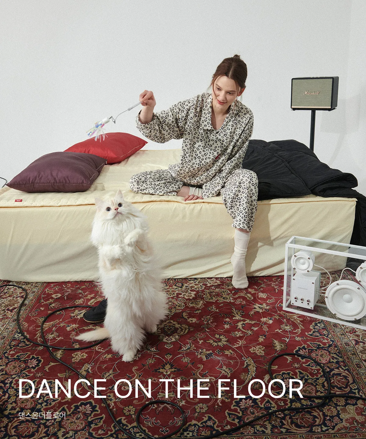 DANCE ON THE FLOOR