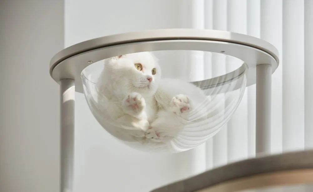 동거동냥 함께 사는 집