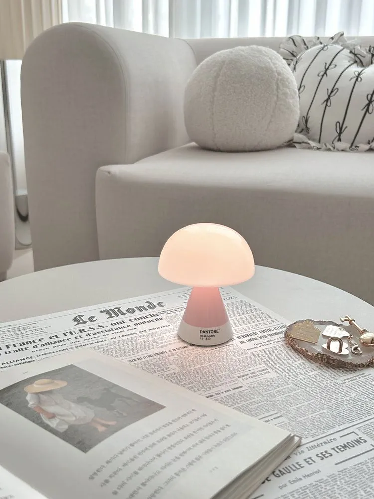 예술이 된 휴대용 전등