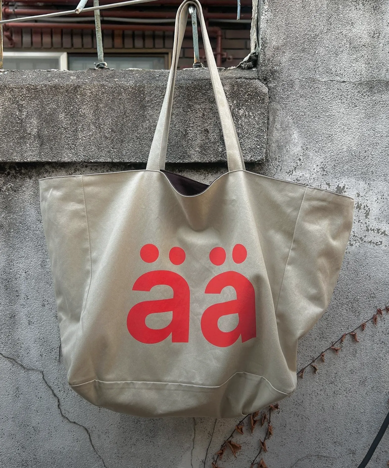 봄과 함께 찾아온
새로운 만남