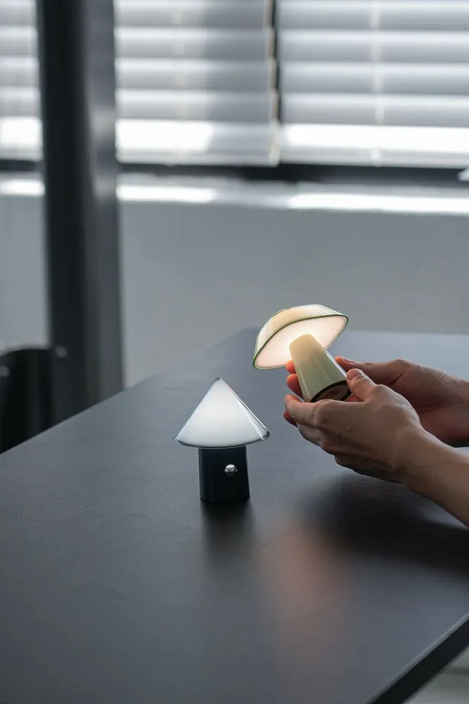 이 계절을 담은 빛