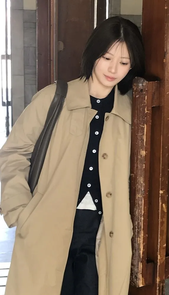 로에일의 위트 있는 일상