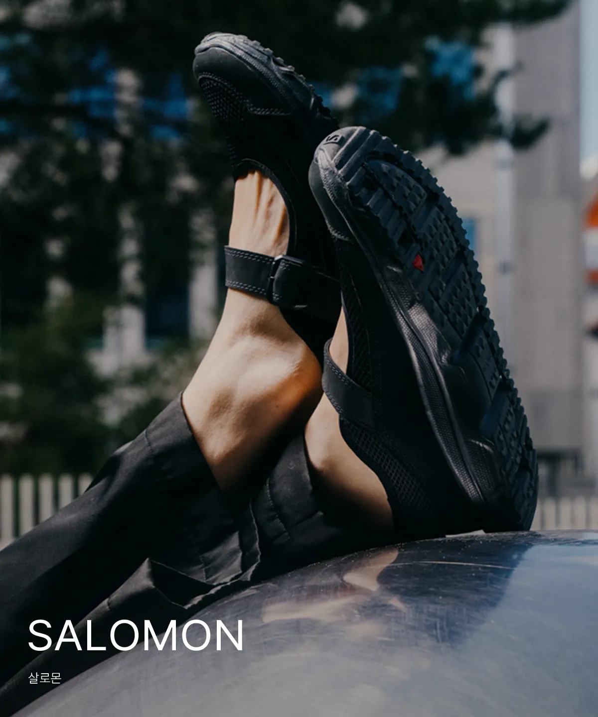 SALOMON